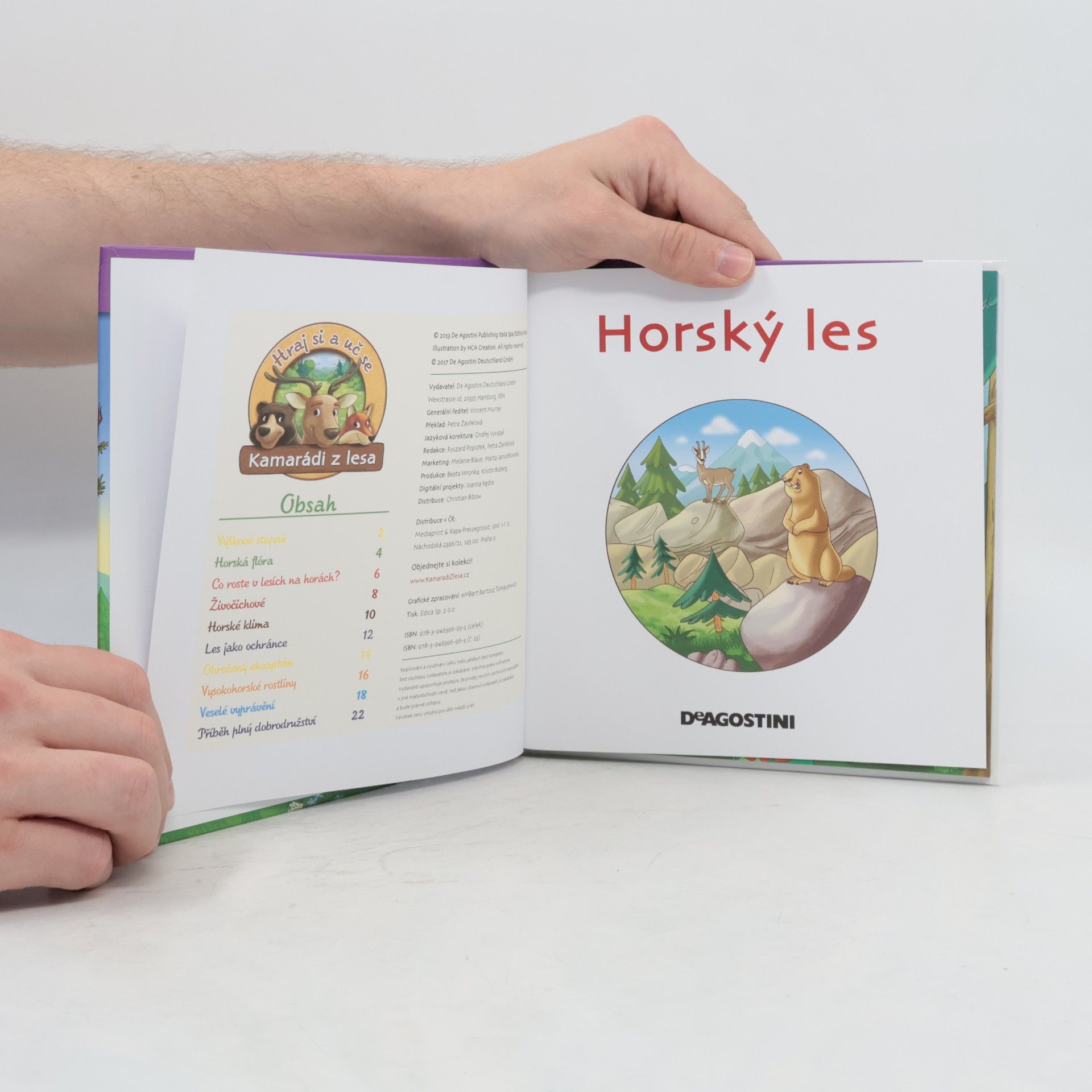 Various authors Rostliny v lese 23. Horský les