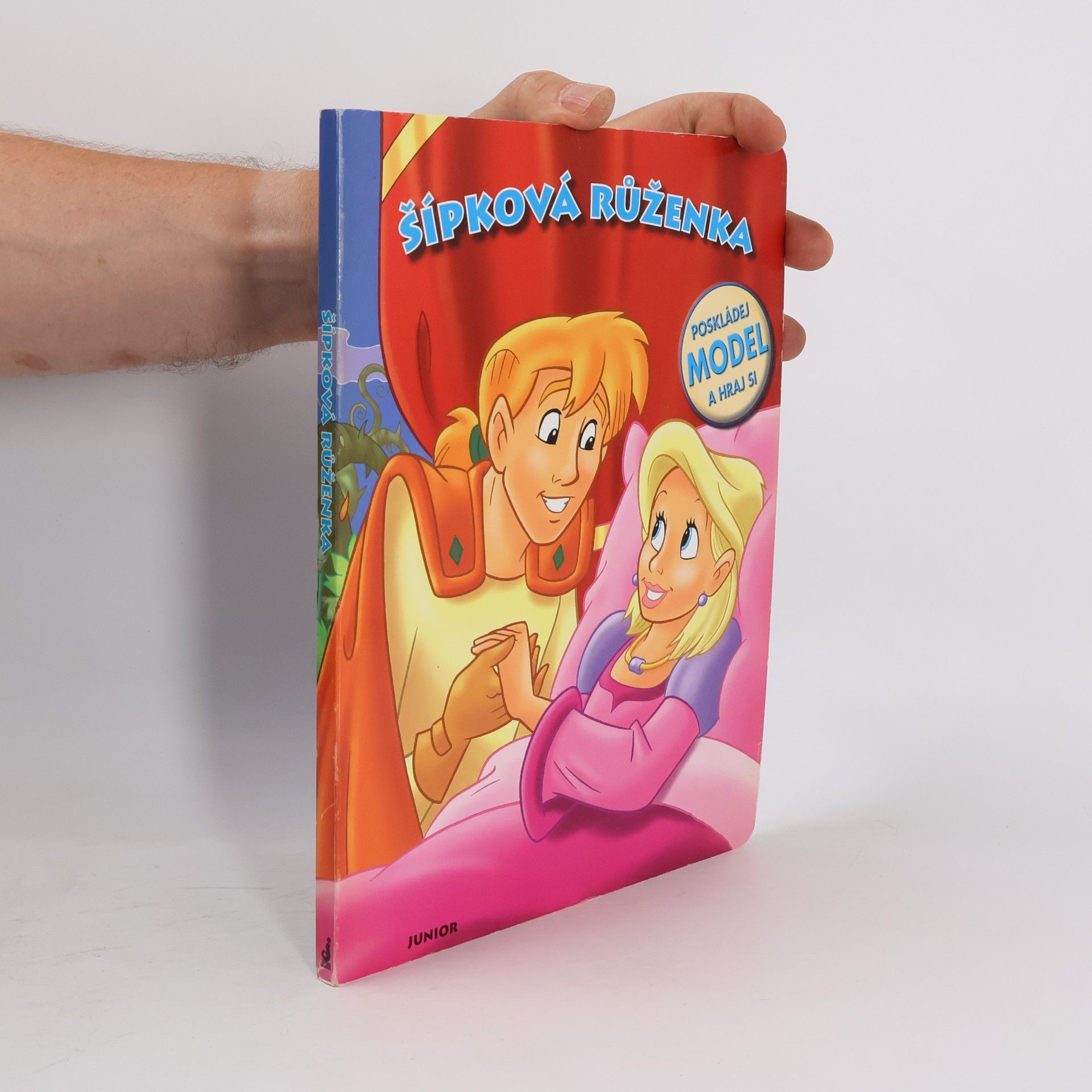 Collectif d'auteurs Šípková Růženka - Poskládej model a hraj si!