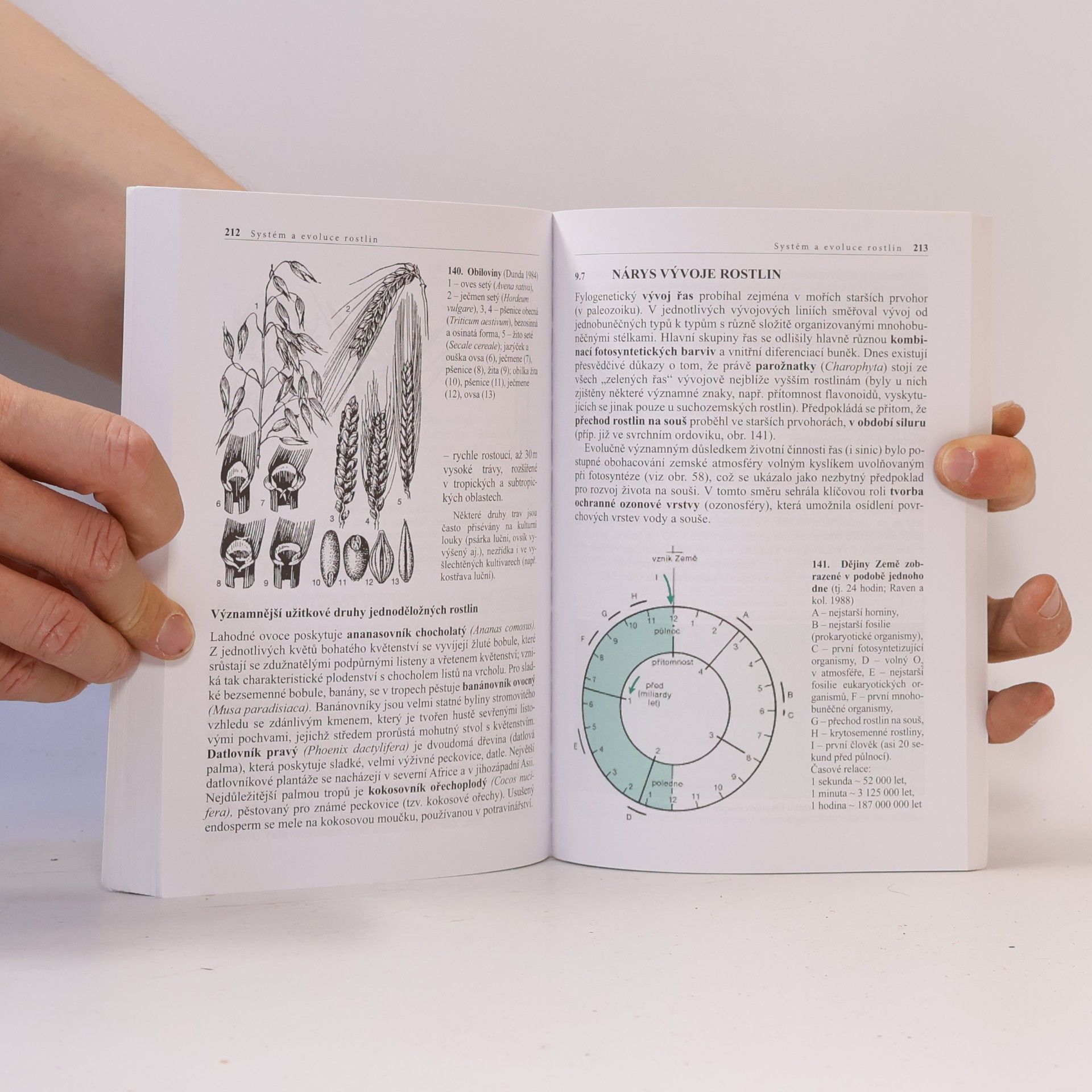 Lubomír Kincl Biologie rostlin: Pro 1. ročník gymnázií
