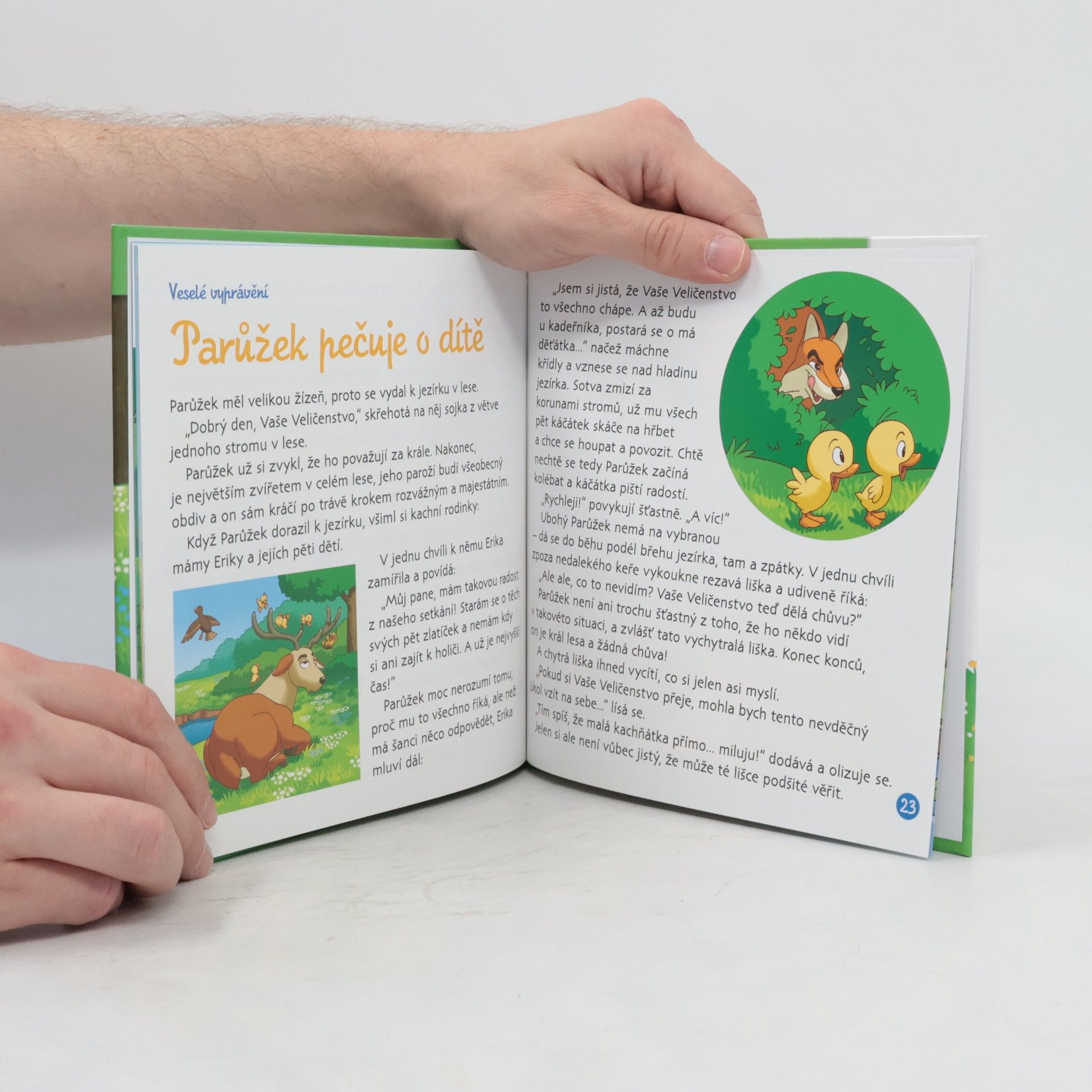 Kolektiv autorů Bydlím v lese 1. Jelen