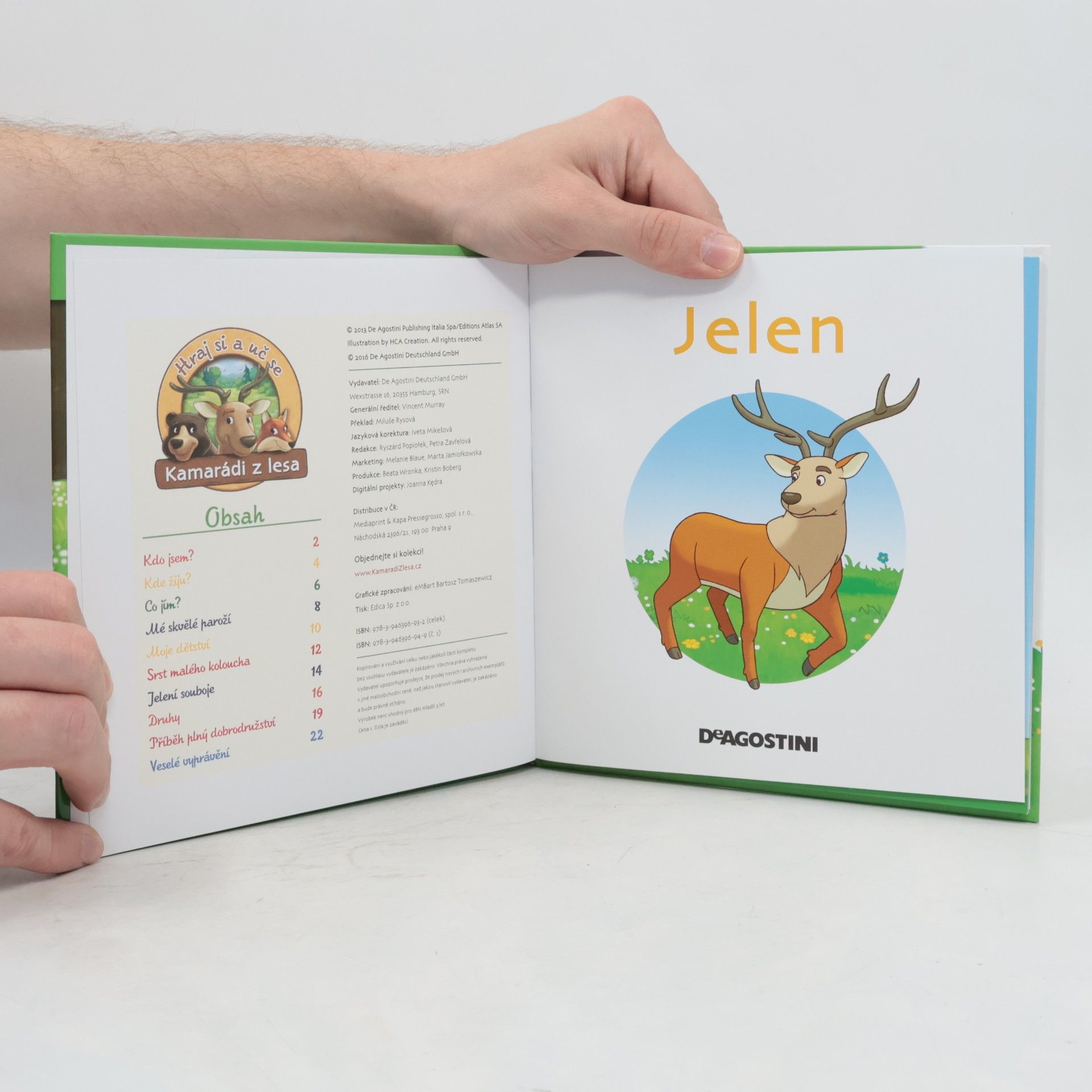 Kolektiv autorů Bydlím v lese 1. Jelen