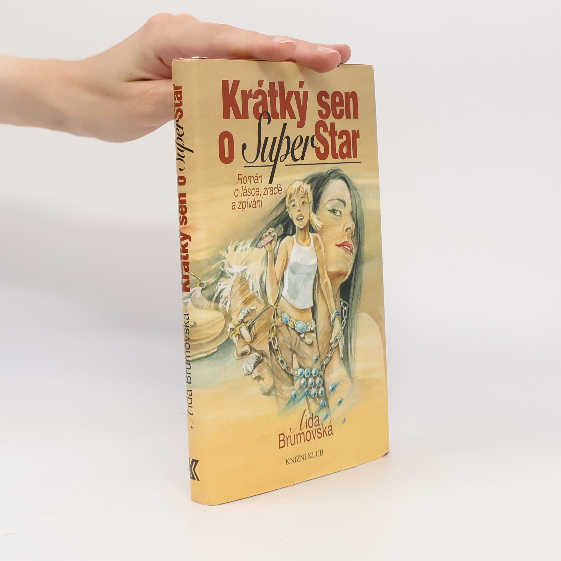 Krátký sen o SuperStar. Román o lásce, zradě a zpívání