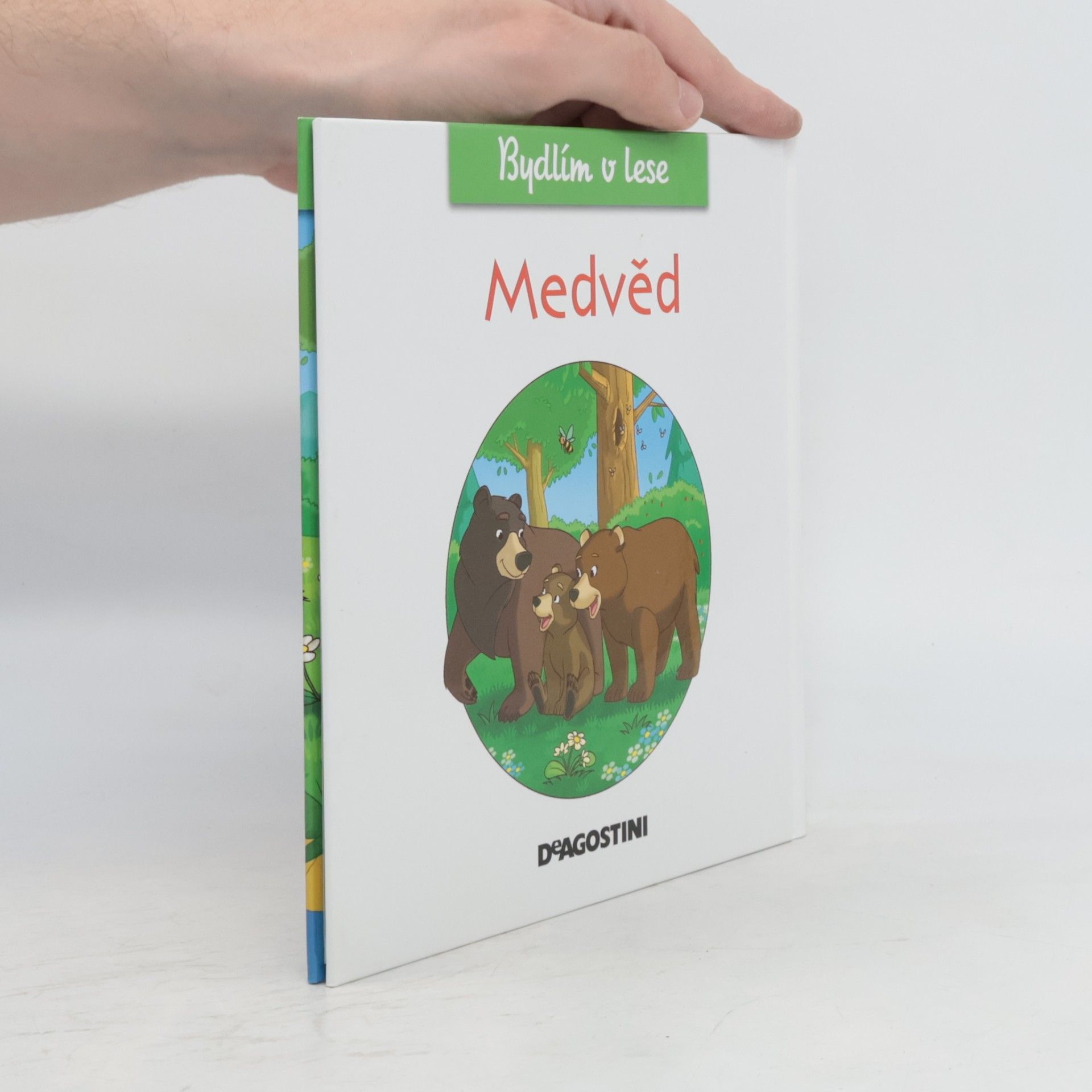 Miluše Rysová Medvěd