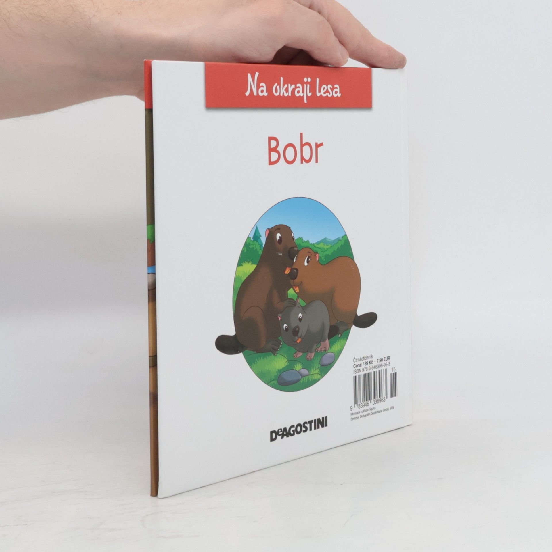 Autorenkollektiv Na okraji lesa 17. Bobr
