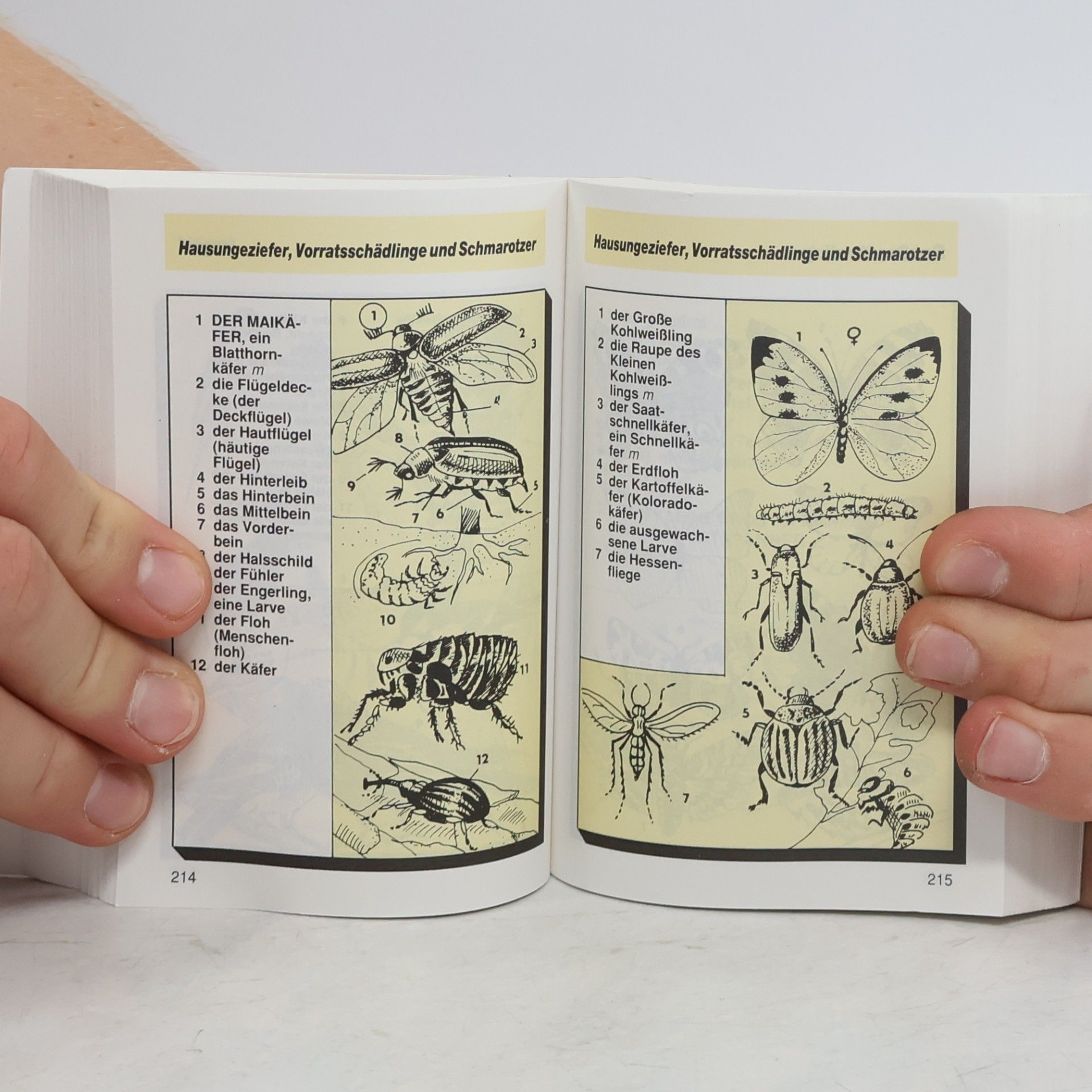 Antonín Šplíchal Bildwörterbuch: Deutsch