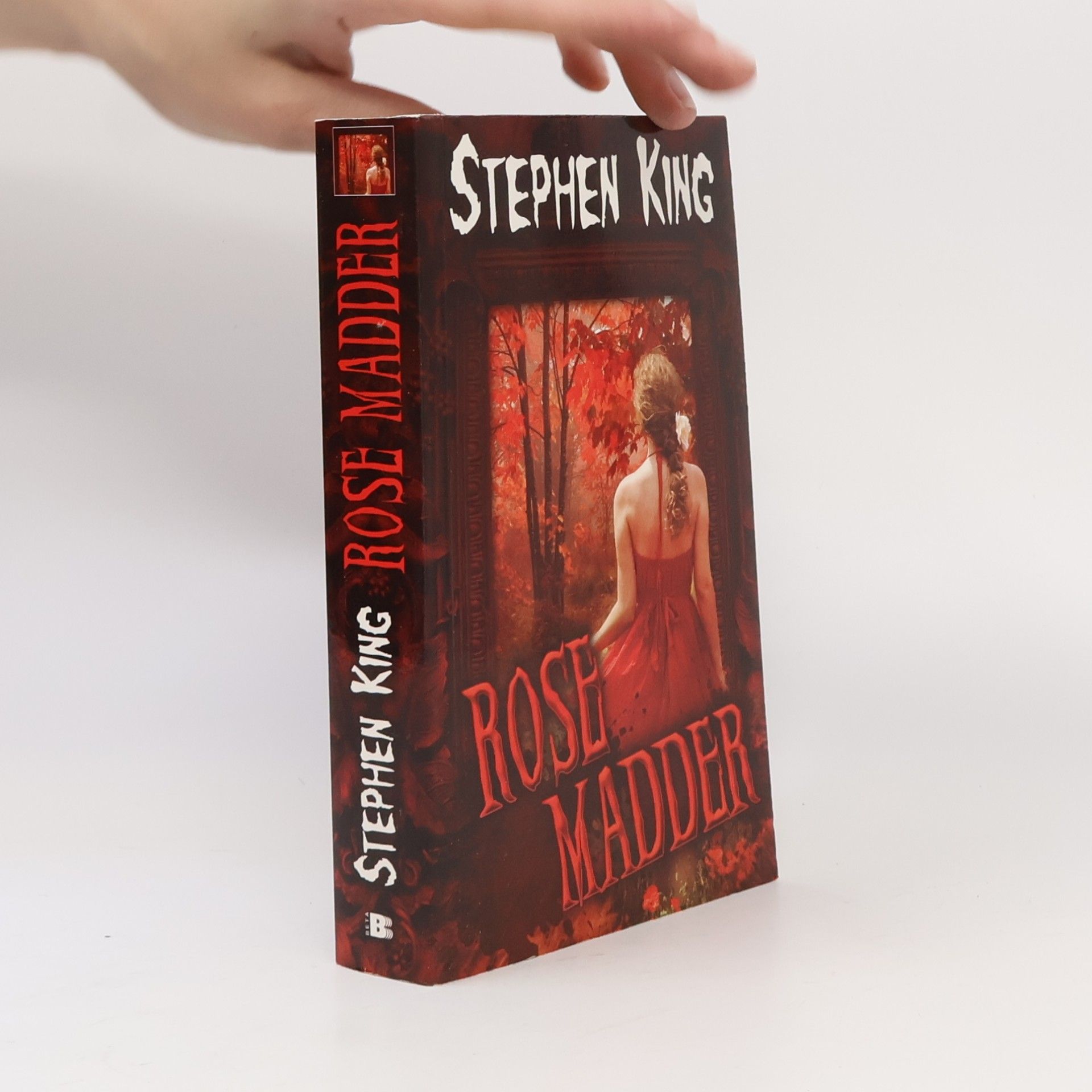 Stephen King Rose Madder