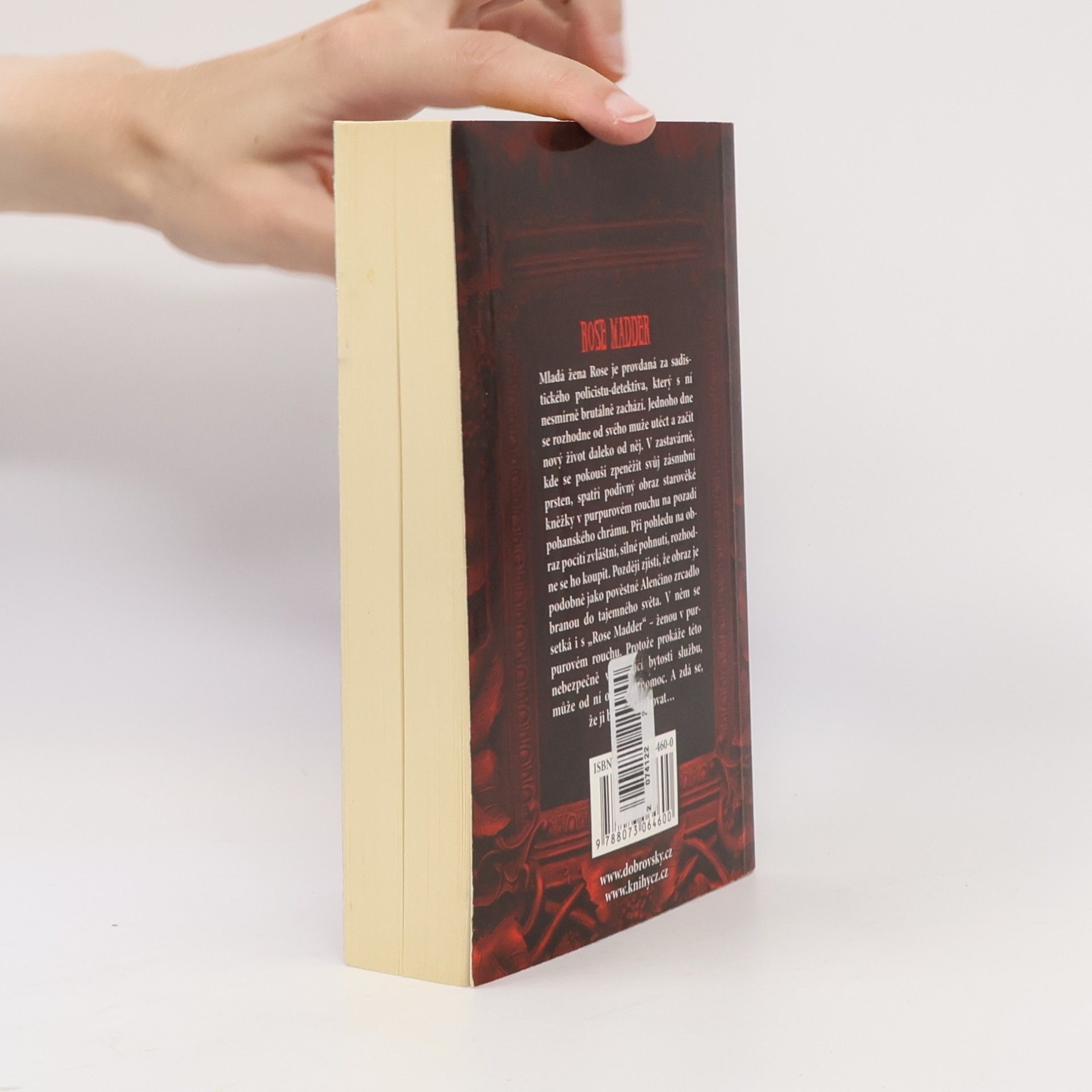 Stephen King Rose Madder