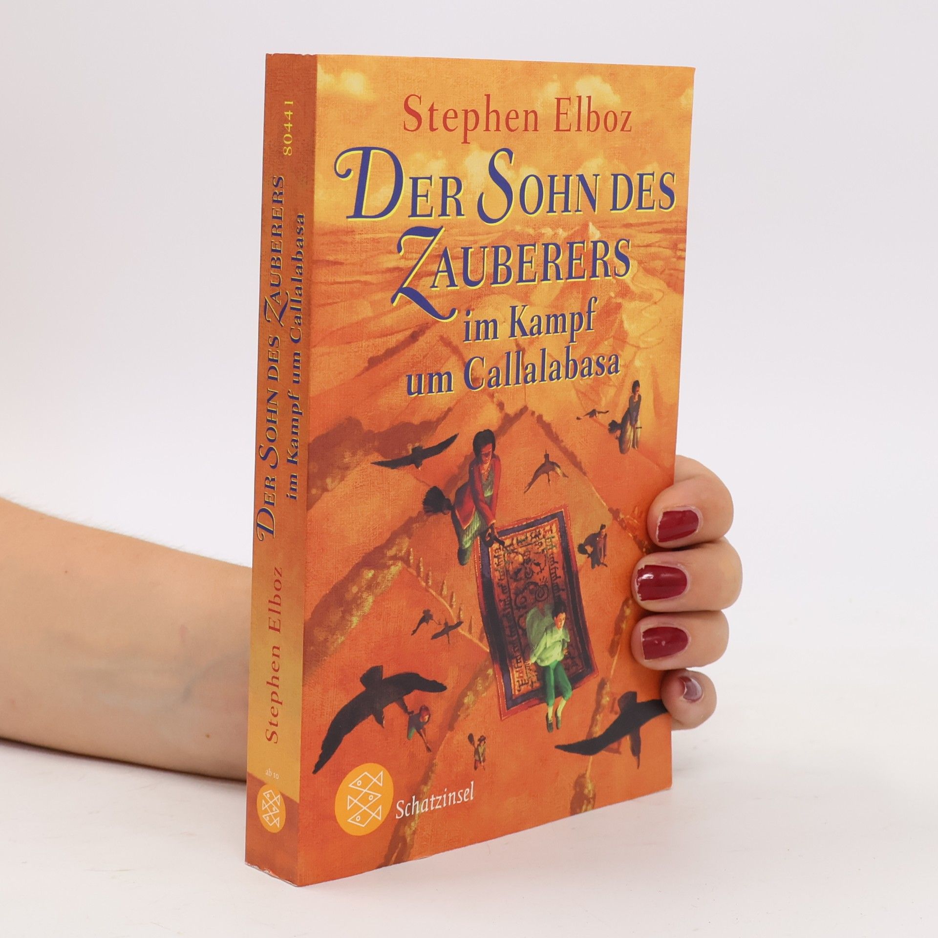 Stephen Elboz Der Sohn des Zauberers im Kampf um Callalabasa