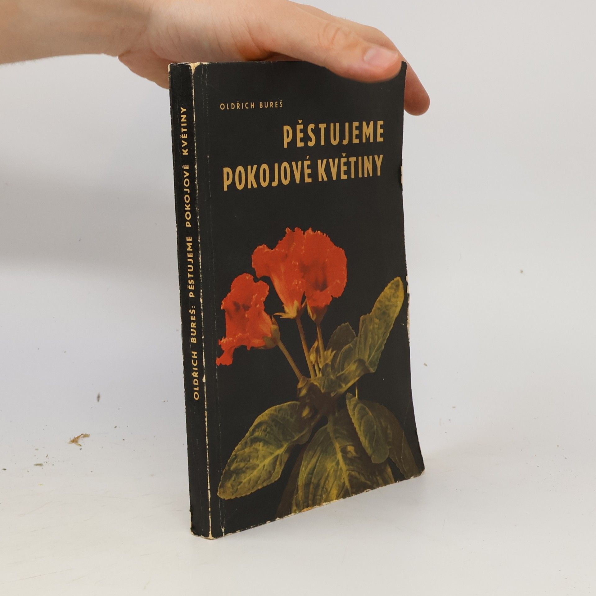 Oldřich Bureš Pěstujeme pokojové květiny