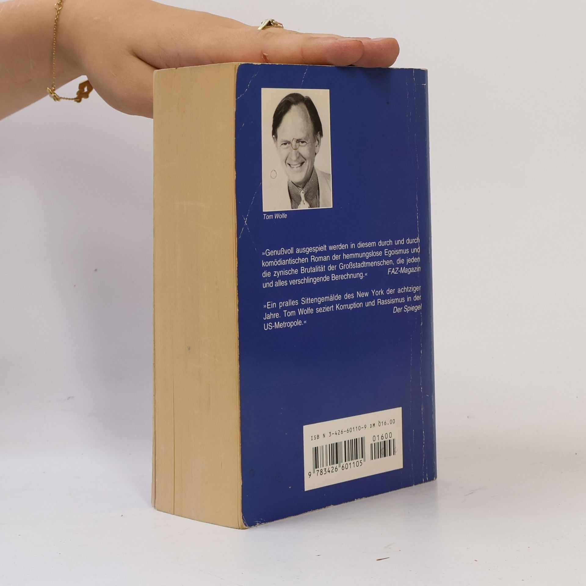 Tom Wolfe Fegefeuer der Eitelkeiten