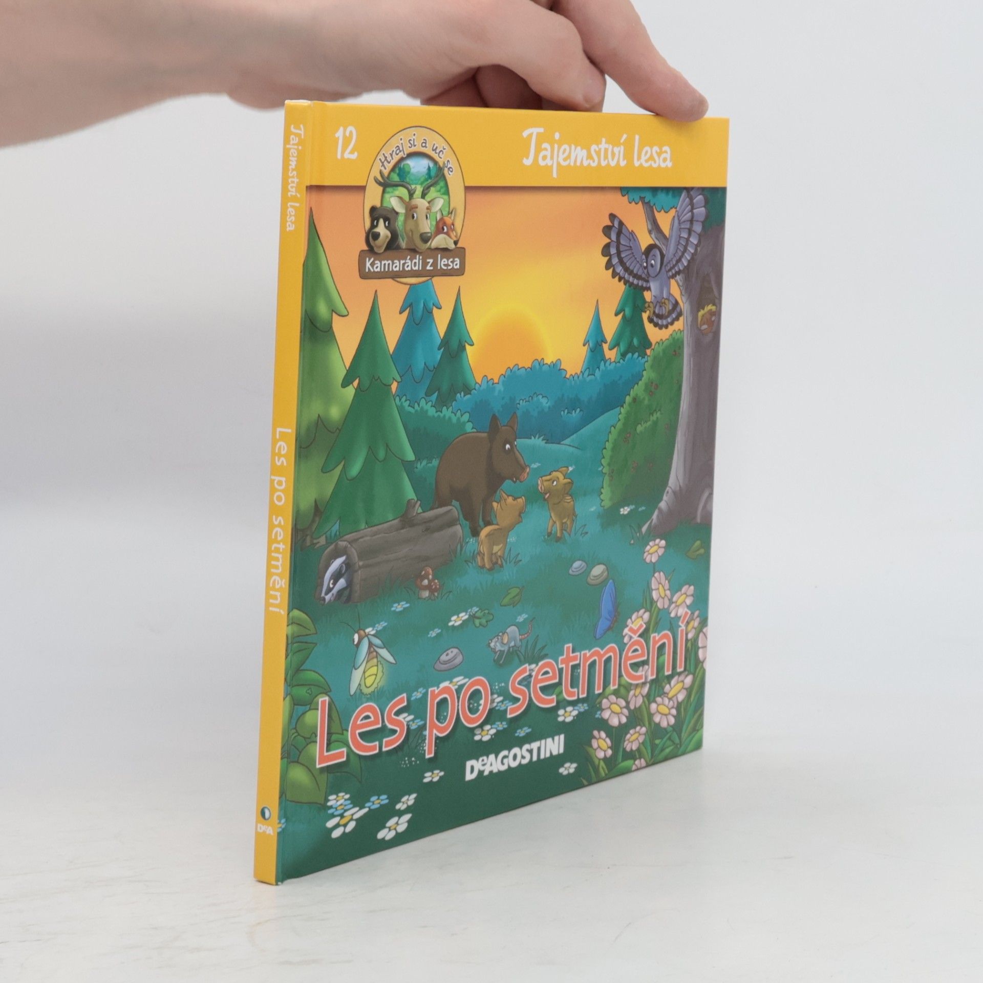 Kolektiv autorů Tajemství lesa 12. Les po setmění