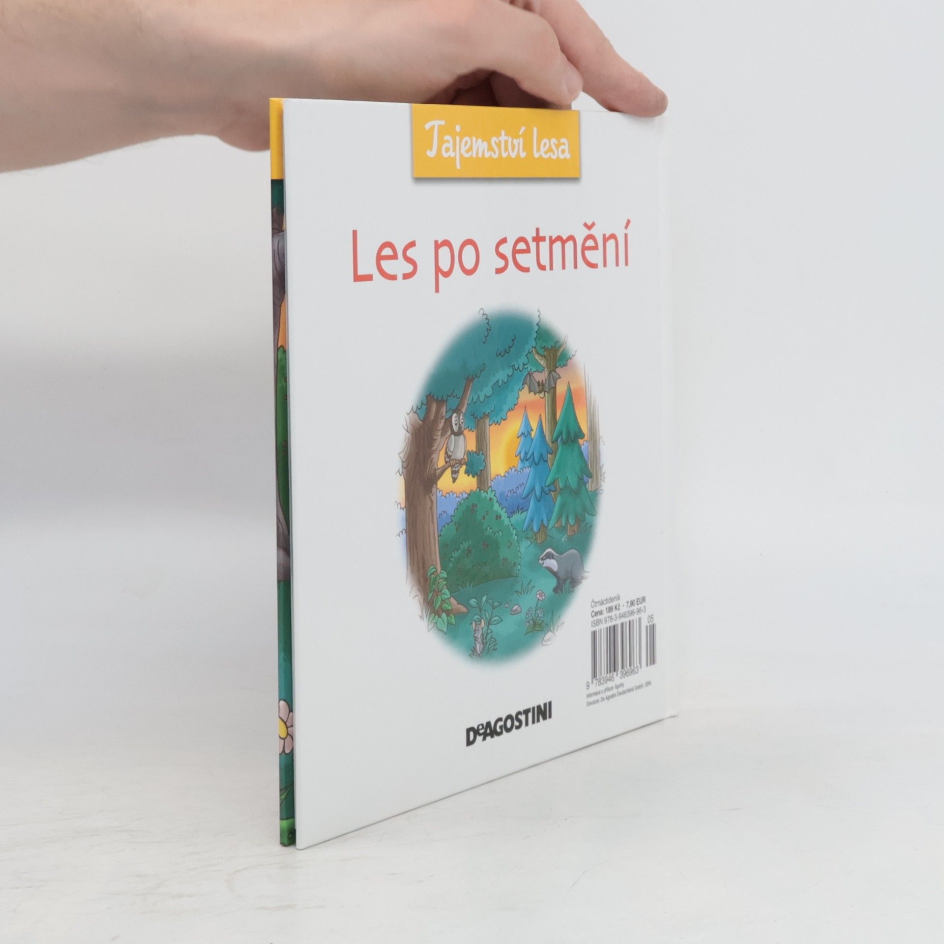 Kolektiv autorů Tajemství lesa 12. Les po setmění