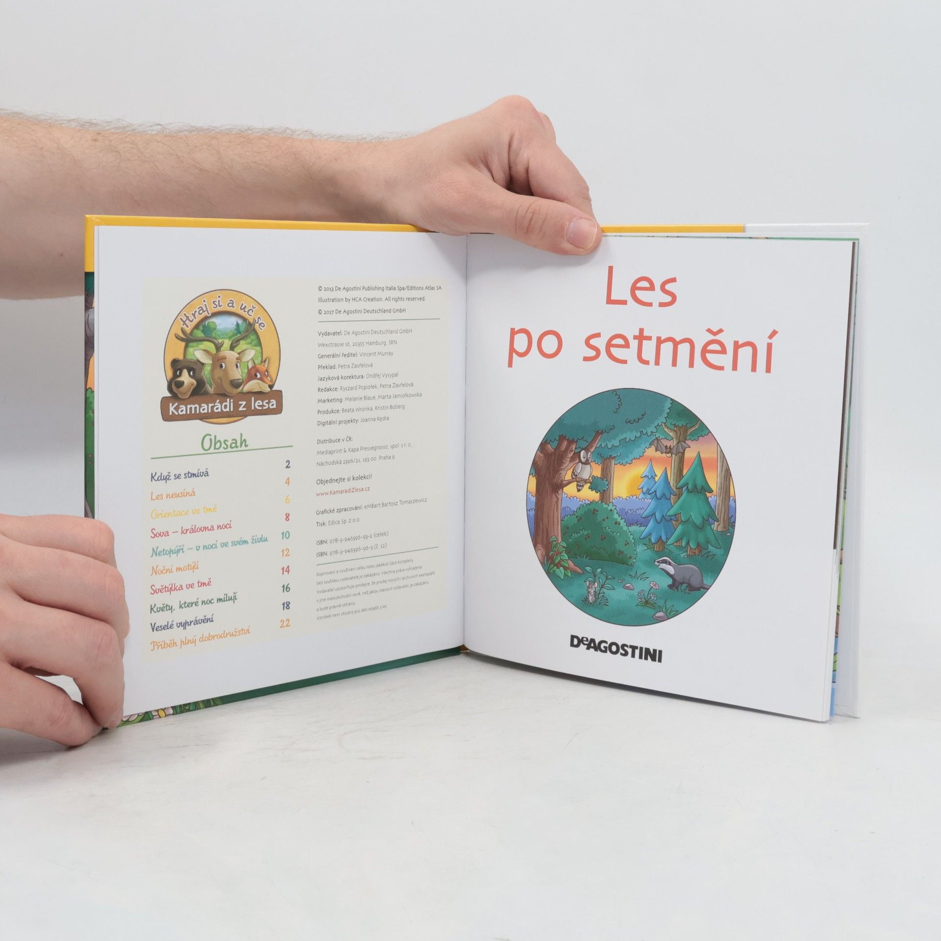 Kolektiv autorů Tajemství lesa 12. Les po setmění