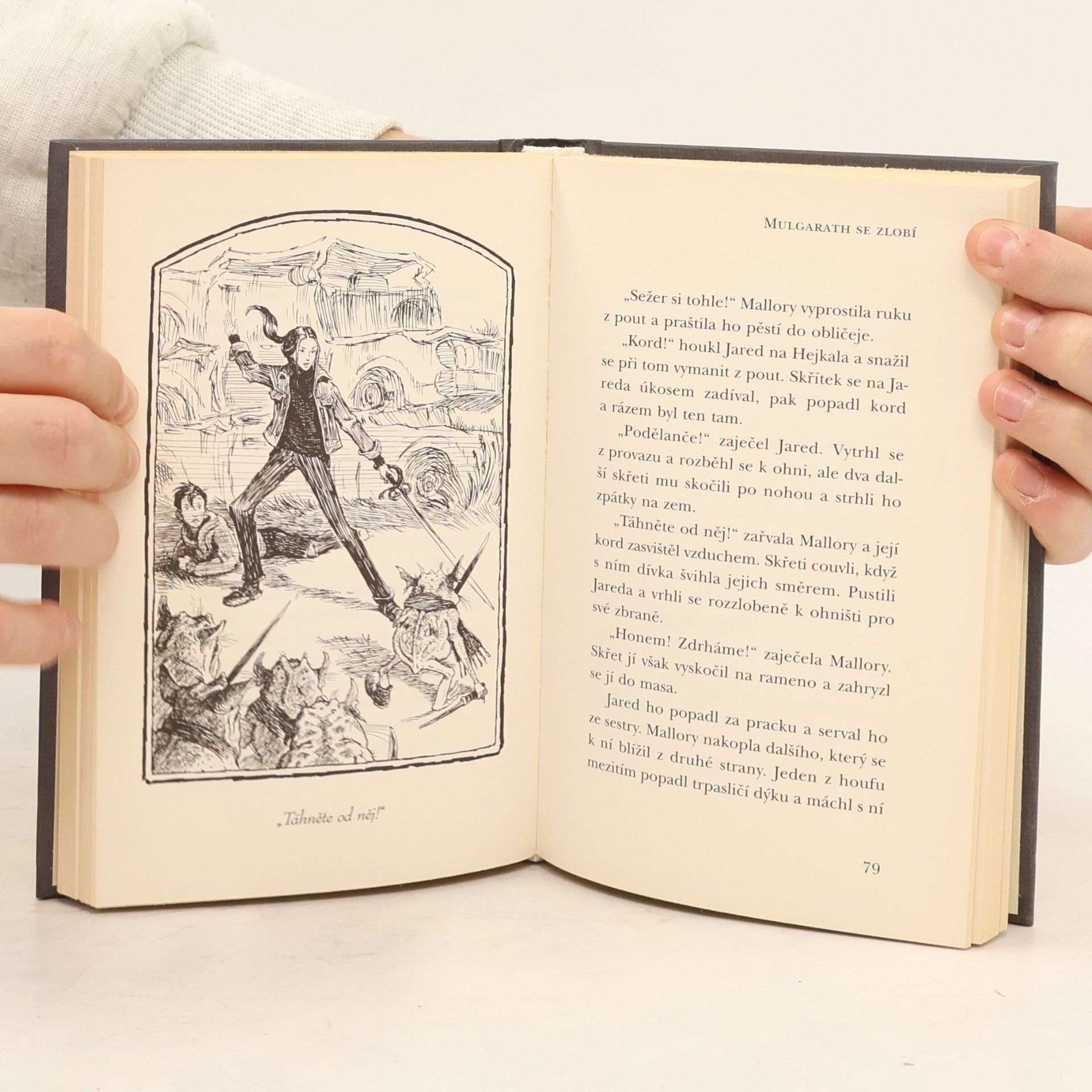 Tony DiTerlizzi Kronika rodu Spiderwicků. Kniha 5, Mulgarath se zlobí