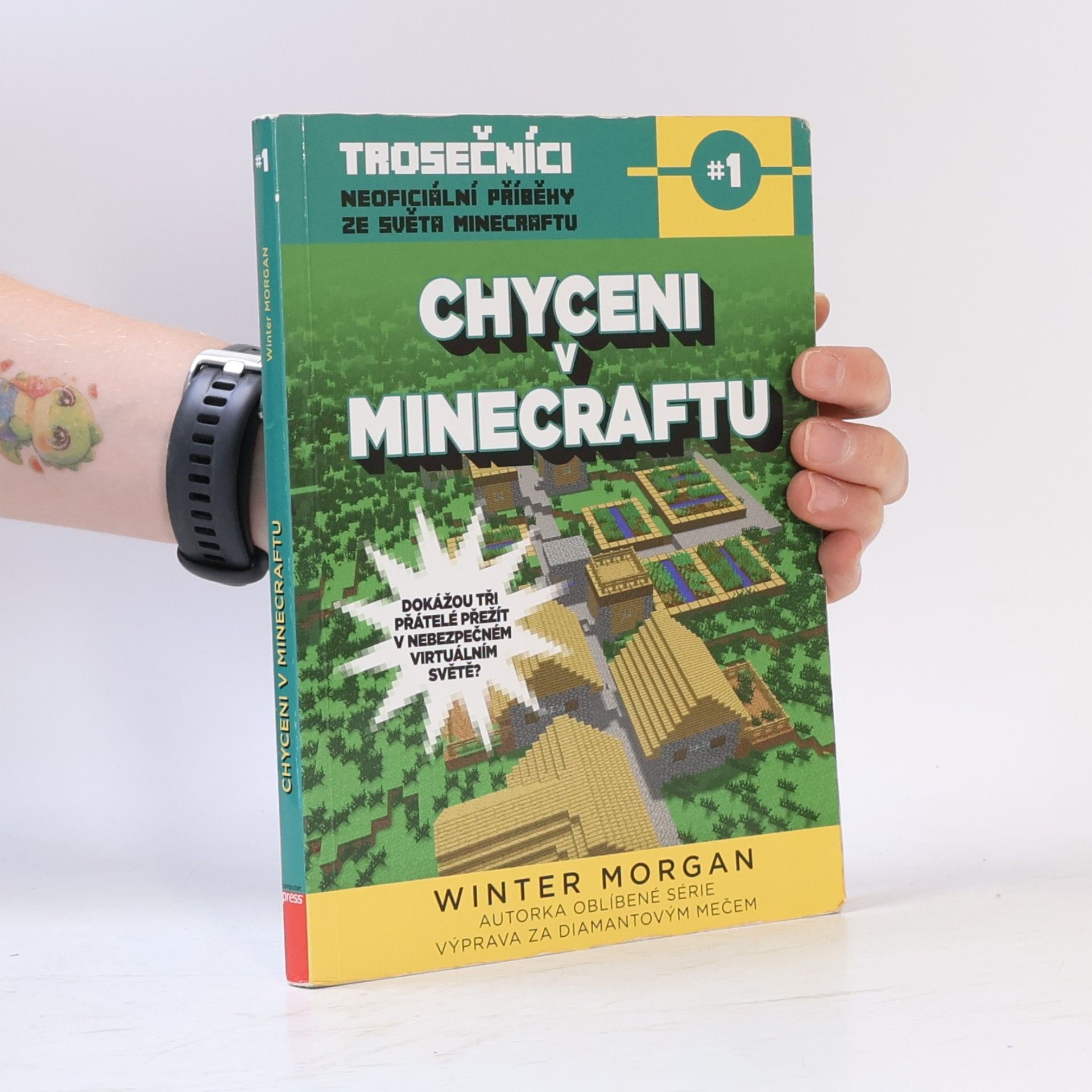 Winter Morgan Trosečníci. Kniha první, Chyceni v Minecraftu