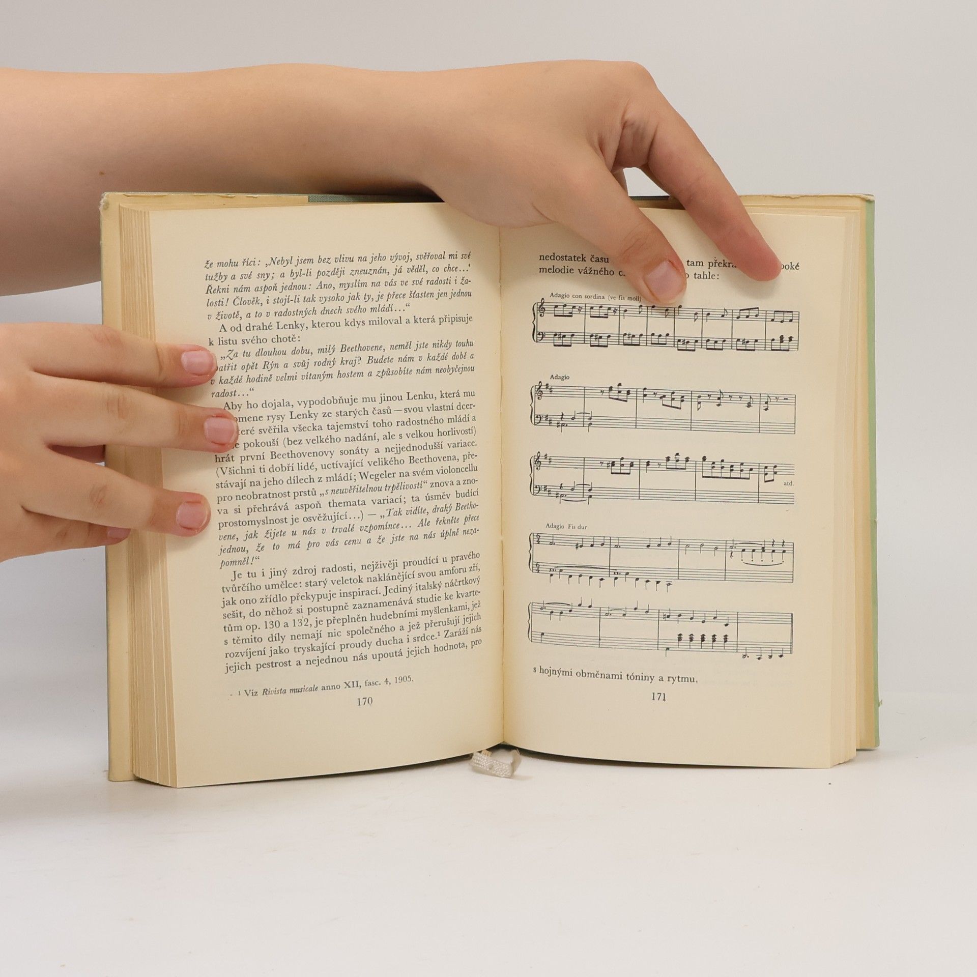 Romain Rolland Beethoven IV. Velká tvůrčí období. Nedokončená katedrála II. Poslední kvartety