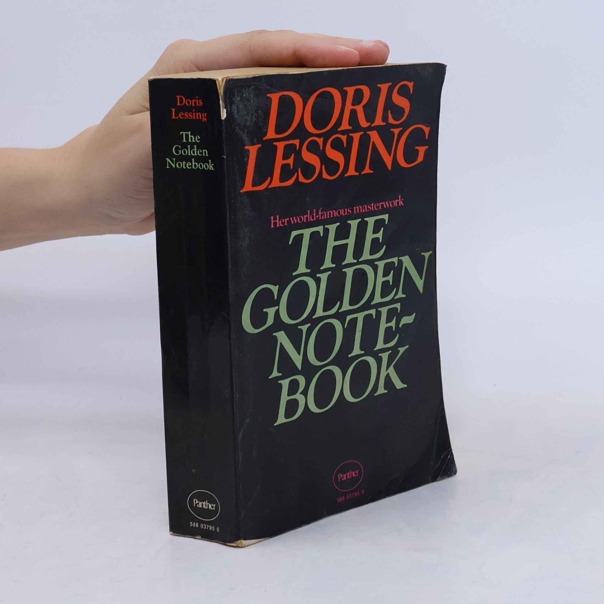 Doris Lessing The Golden Notebook