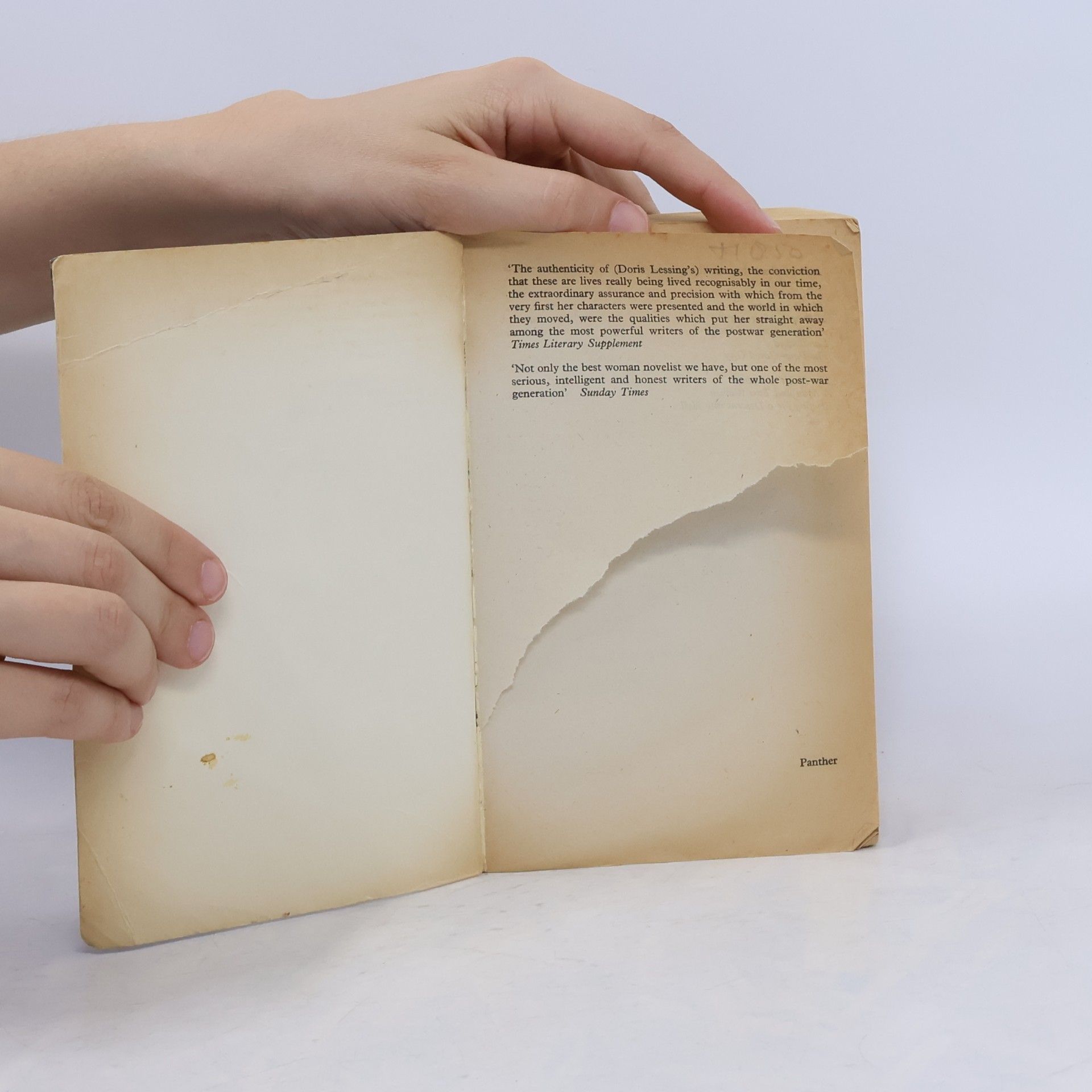 Doris Lessing The Golden Notebook
