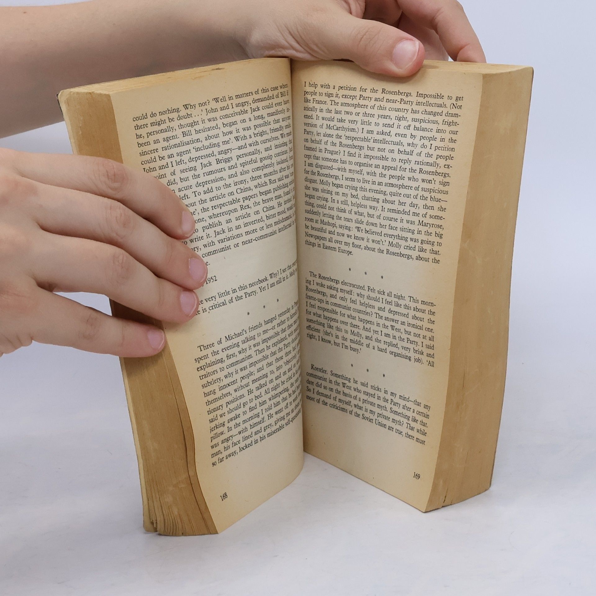 Doris Lessing The Golden Notebook