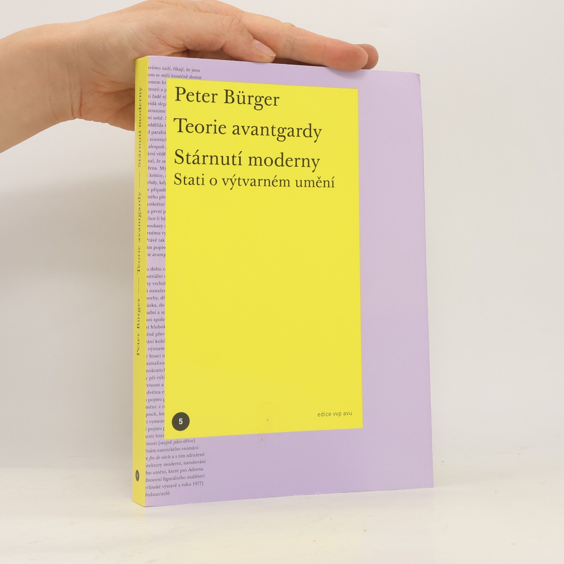 Peter Bürger Teorie avantgardy / Stárnutí moderny