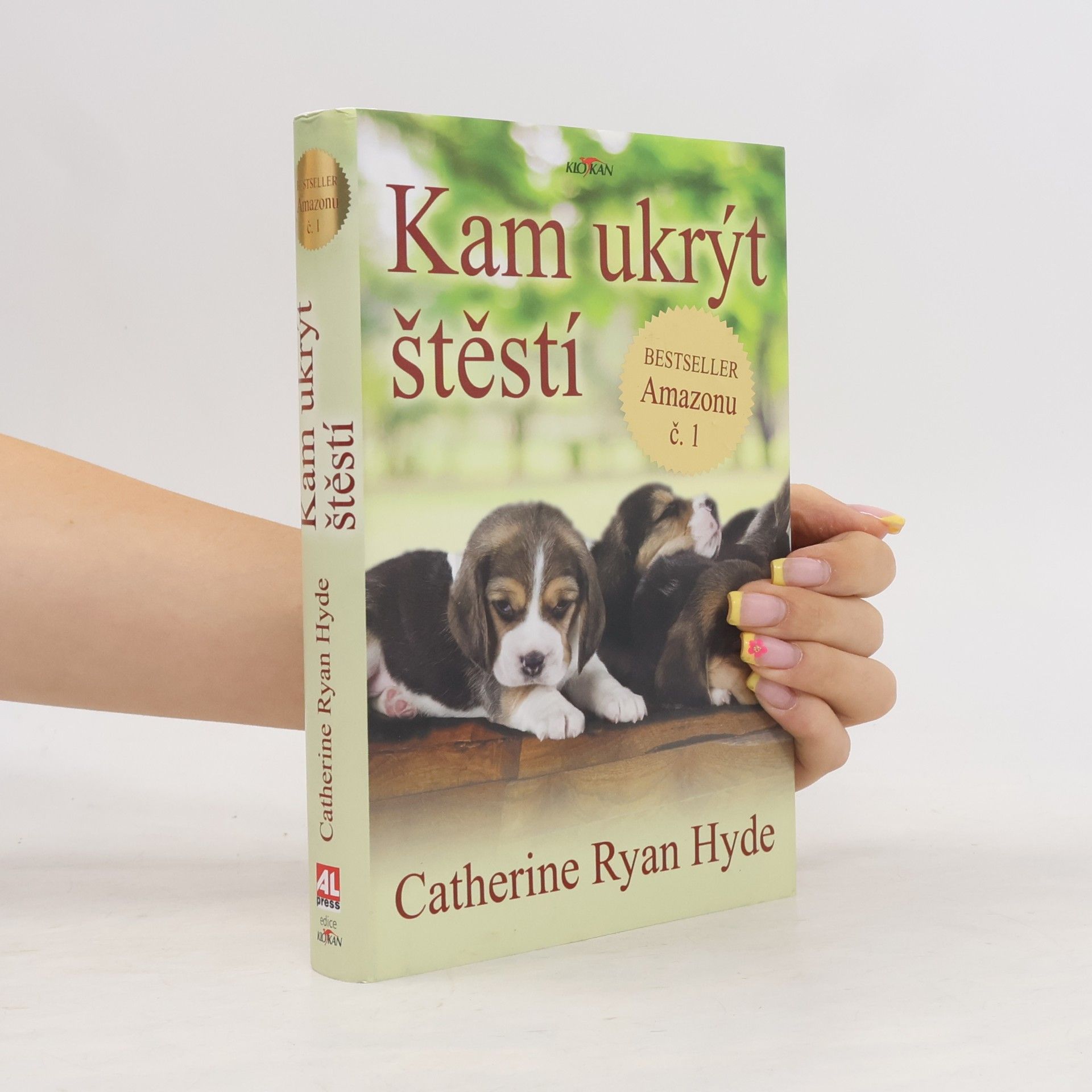 Catherine Ryan Hyde Kam ukrýt štěstí