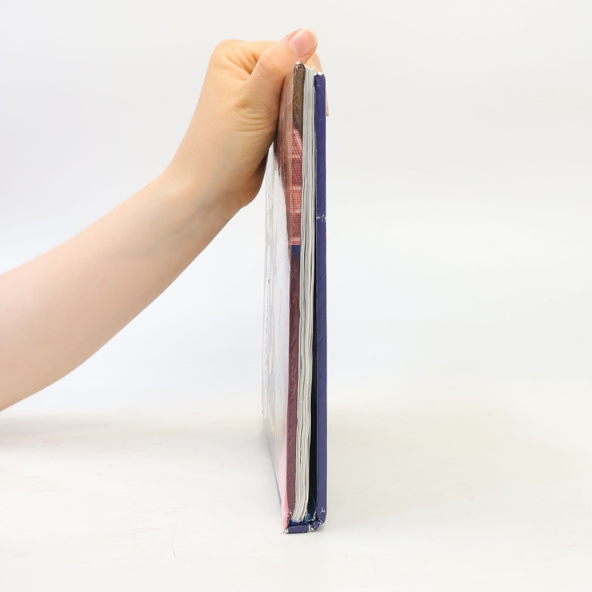 Oleg Kuzovkov Pohádky před usnutím
