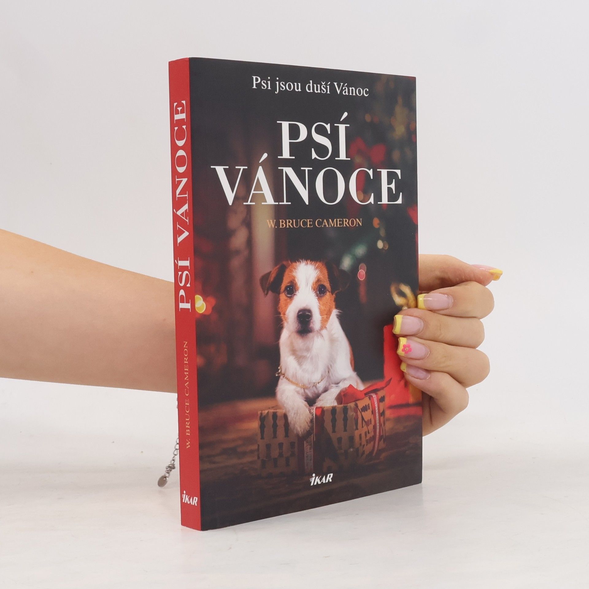 W. Bruce Cameron Psí Vánoce