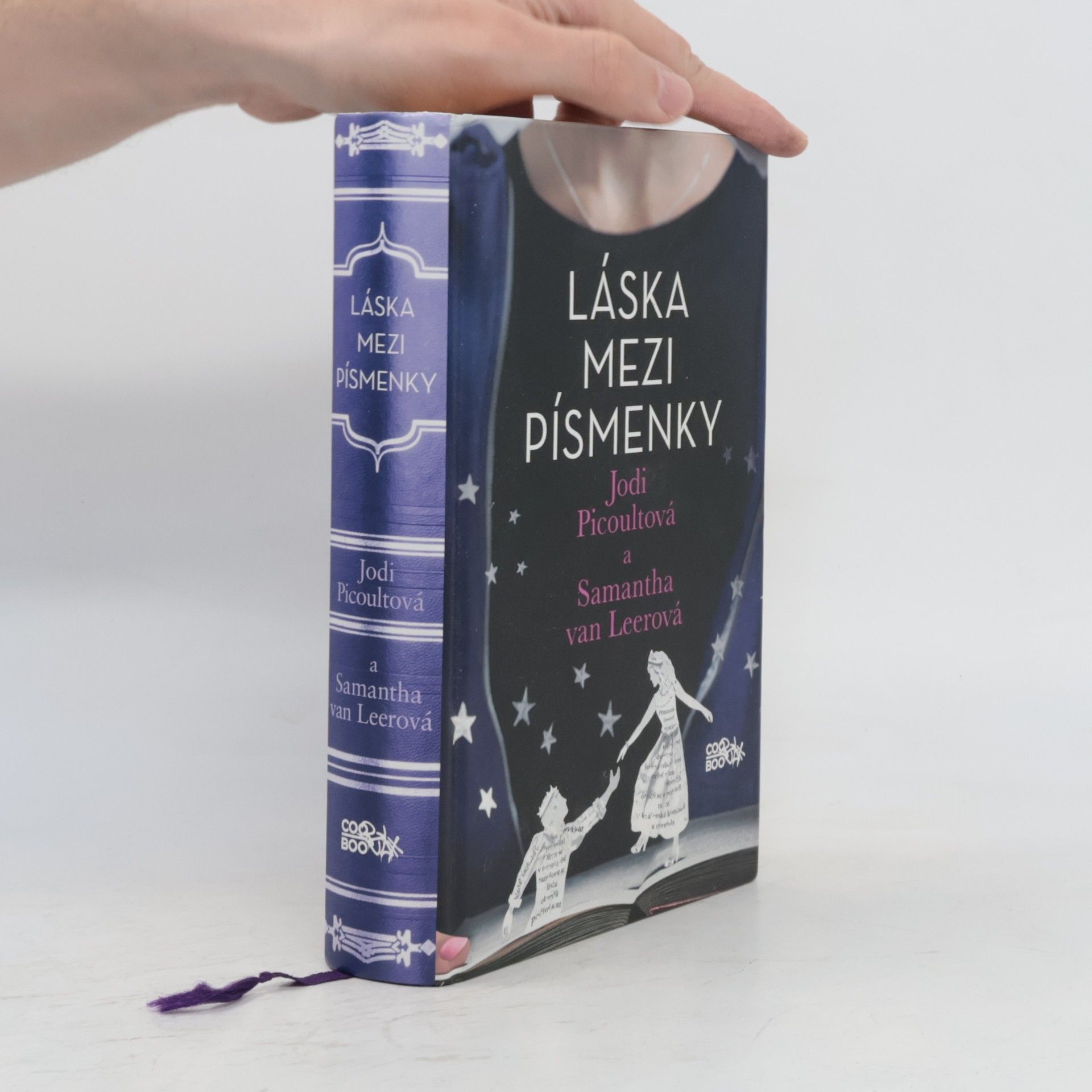 Jodi Picoult Láska mezi písmenky