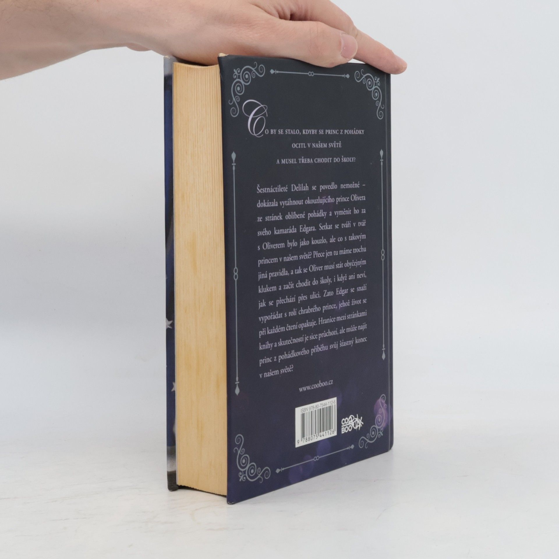 Jodi Picoult Láska mezi písmenky