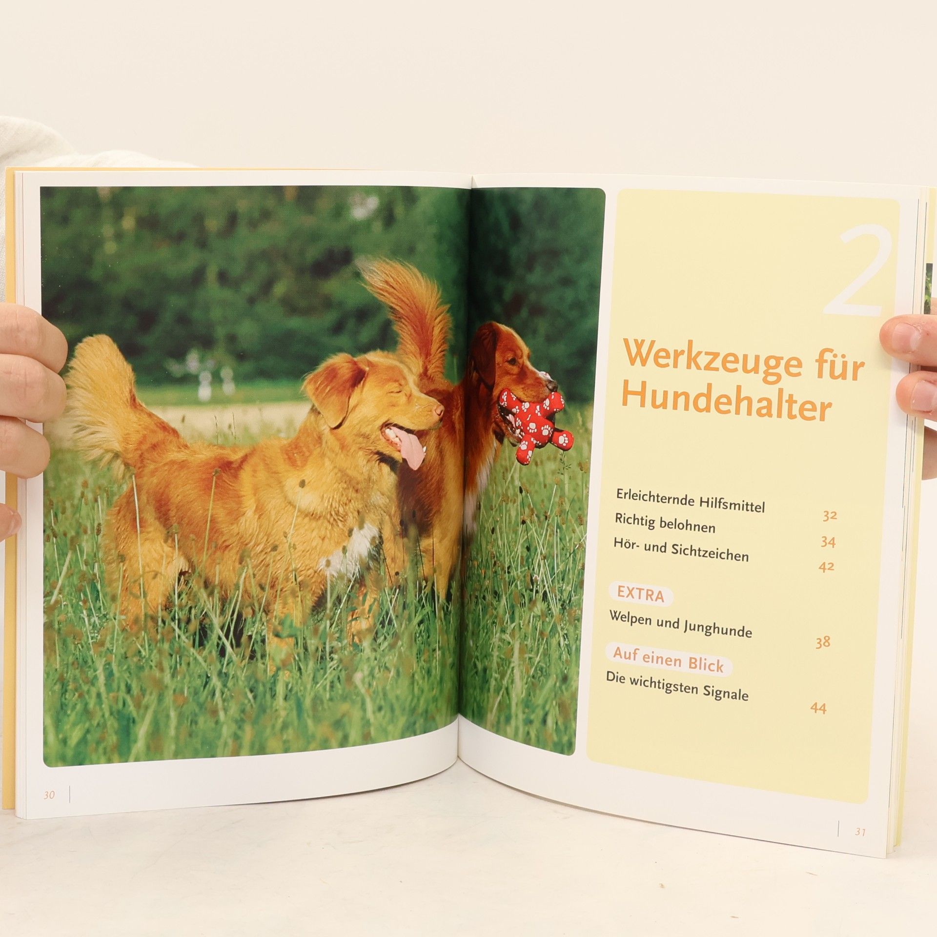 Vera-Sabine Winkler Hundeschule