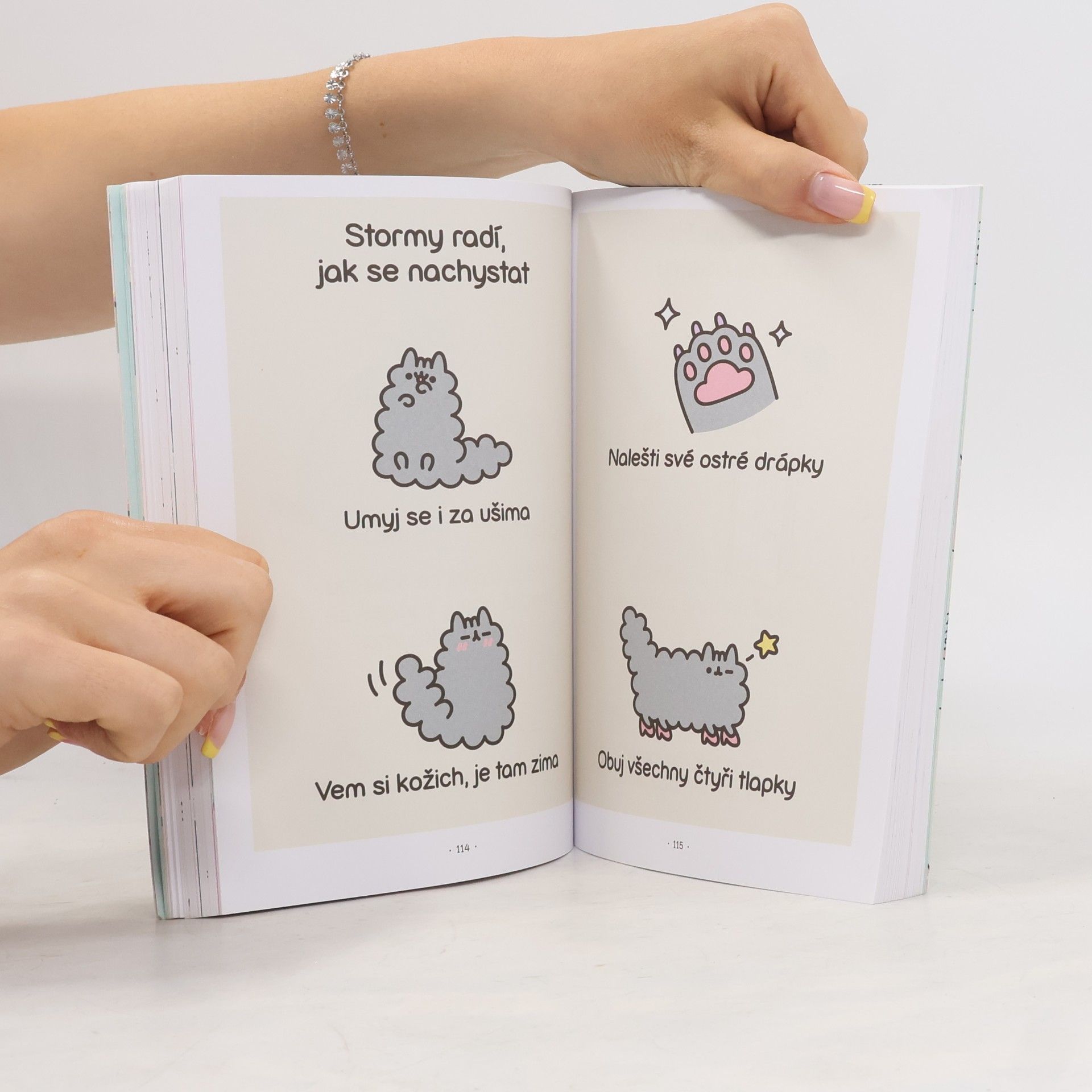 Claire Belton Pusheen : košišatý návod na život