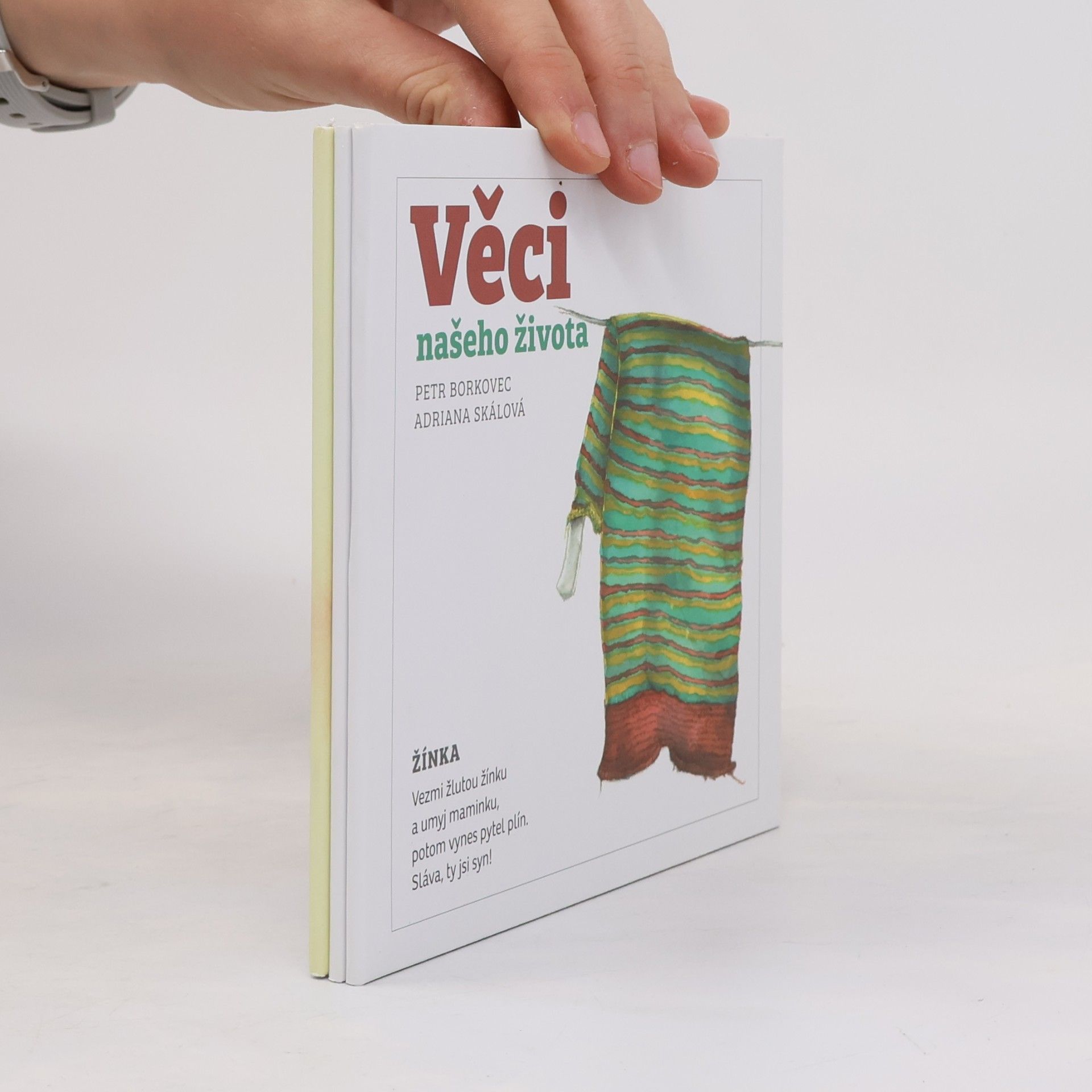 Petr Borkovec Věci našeho života