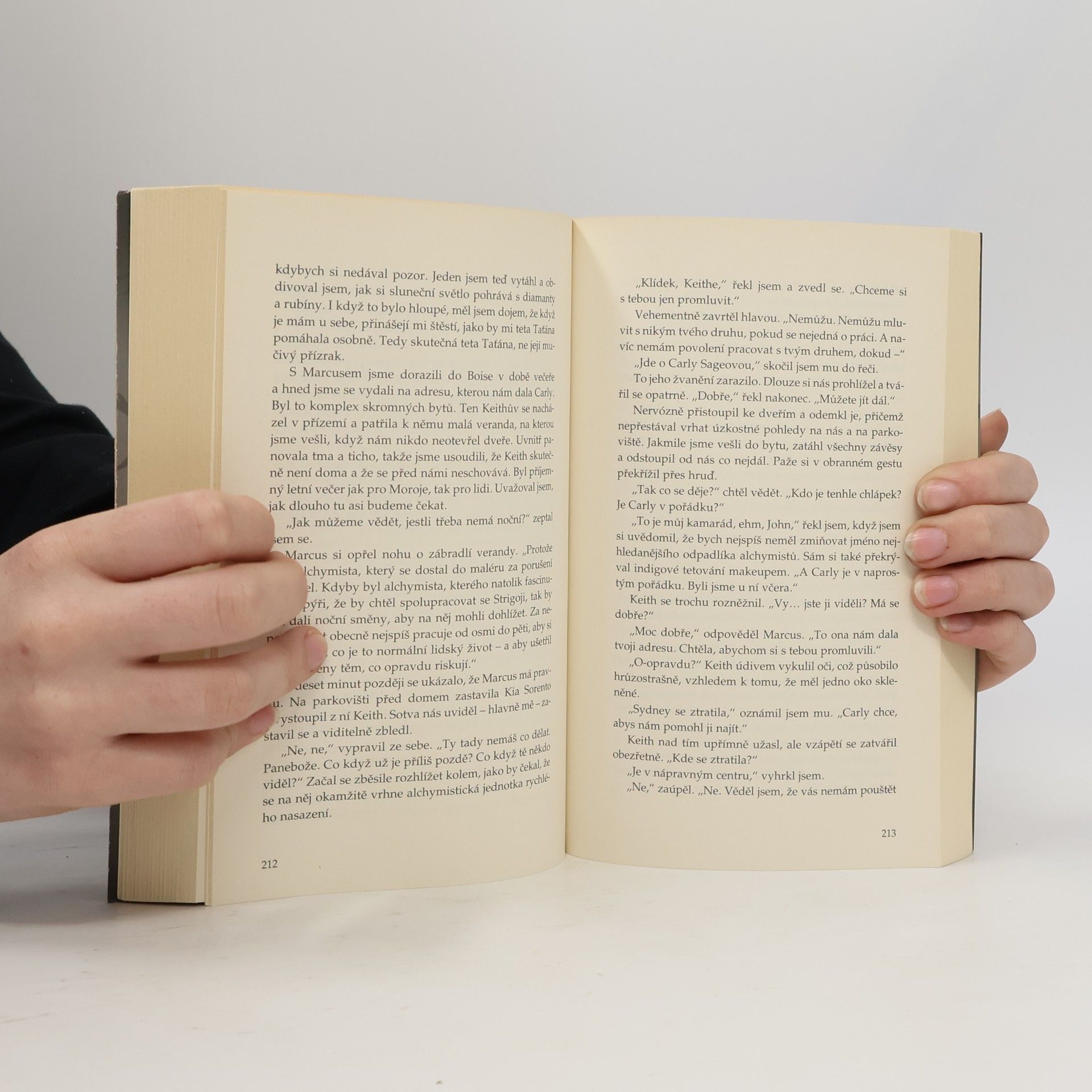 Richelle Mead Stříbrné stíny. Pokrevní pouta. 5. díl