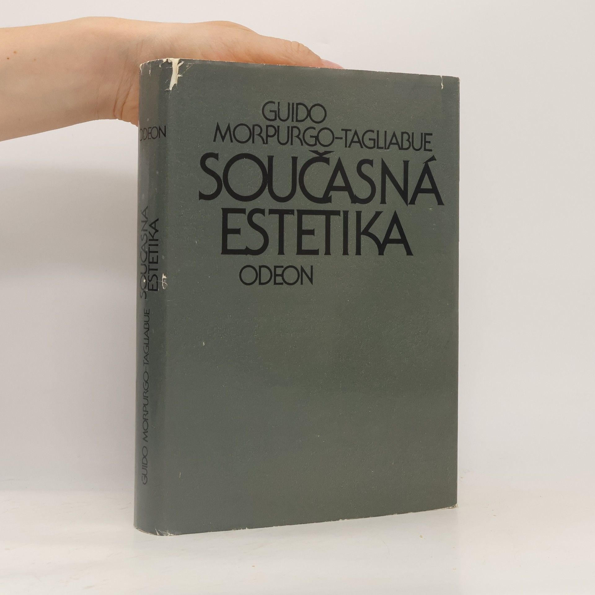 Guido Morpurgo Tagliabue Současná estetika