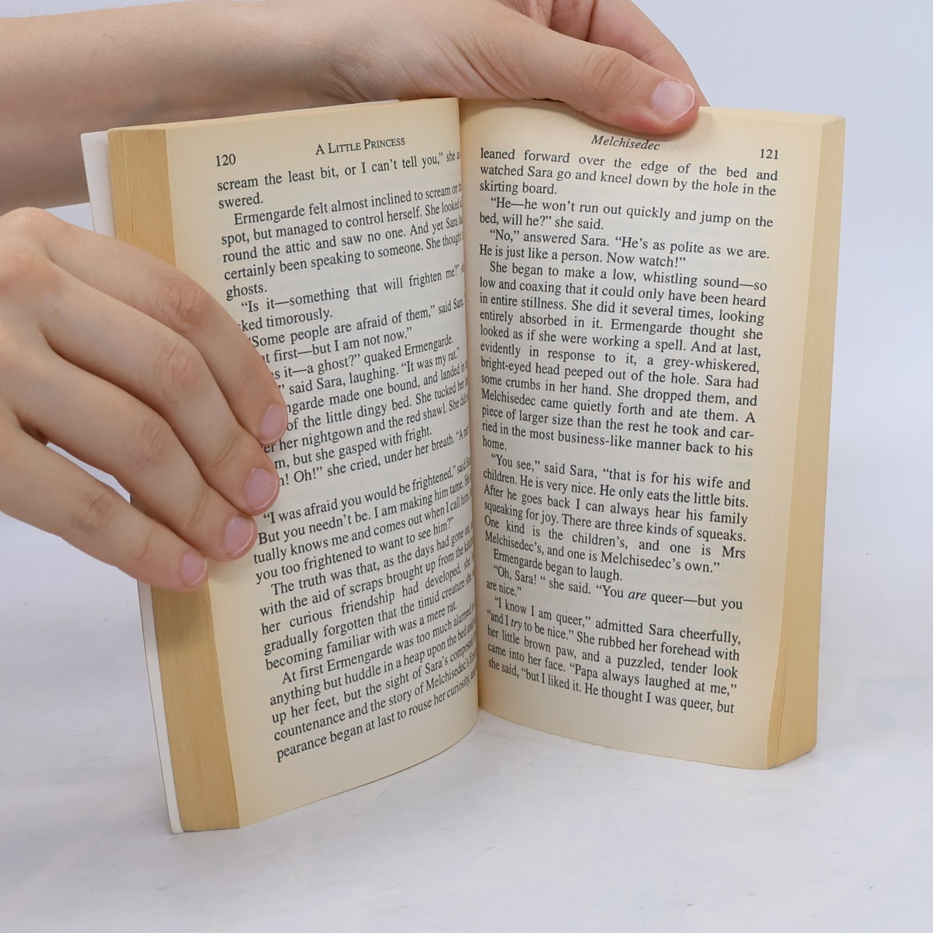 Frances Hodgson Burnett Claremont Classics: A Little Princess
