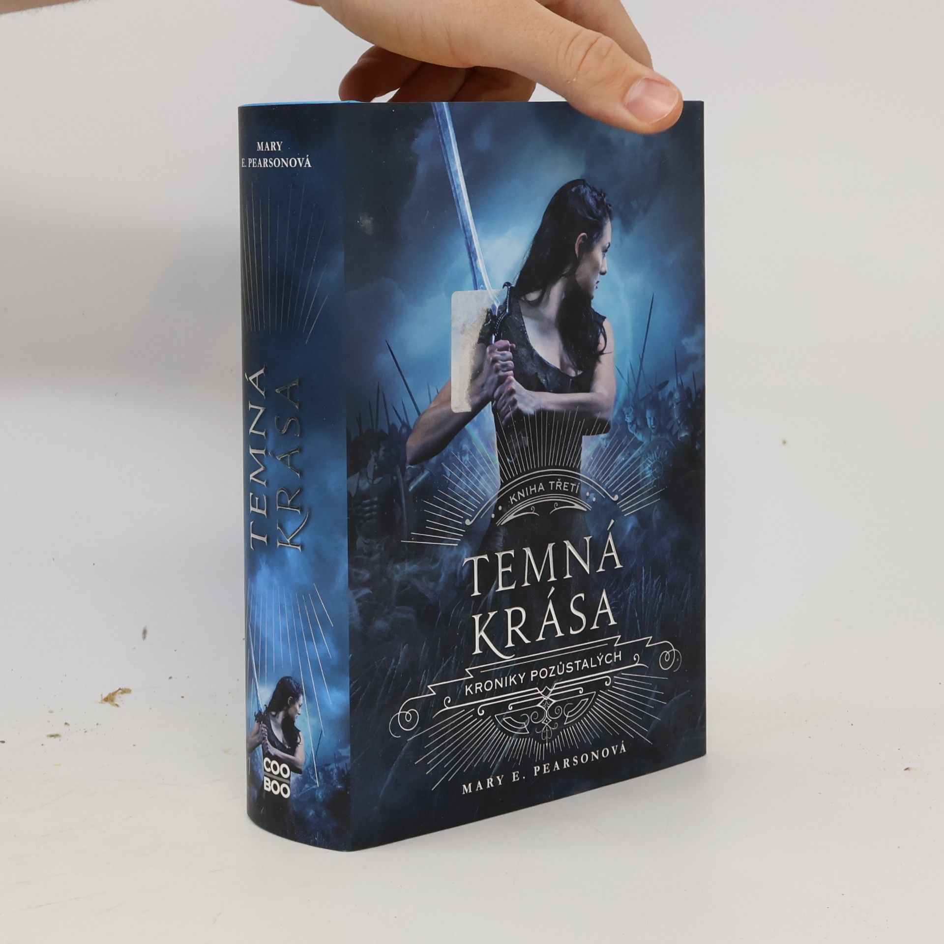 Mary E. Pearson Temná krása