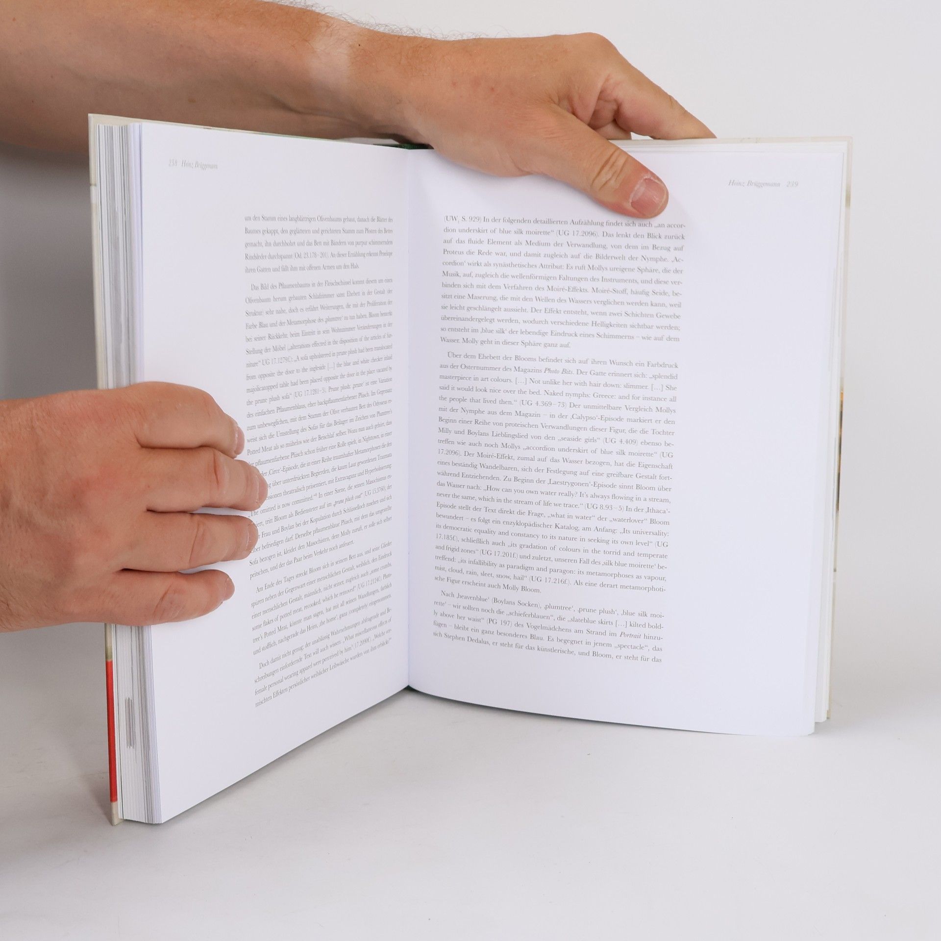Dirk Teuber James Joyce und die Farben des Ulysses