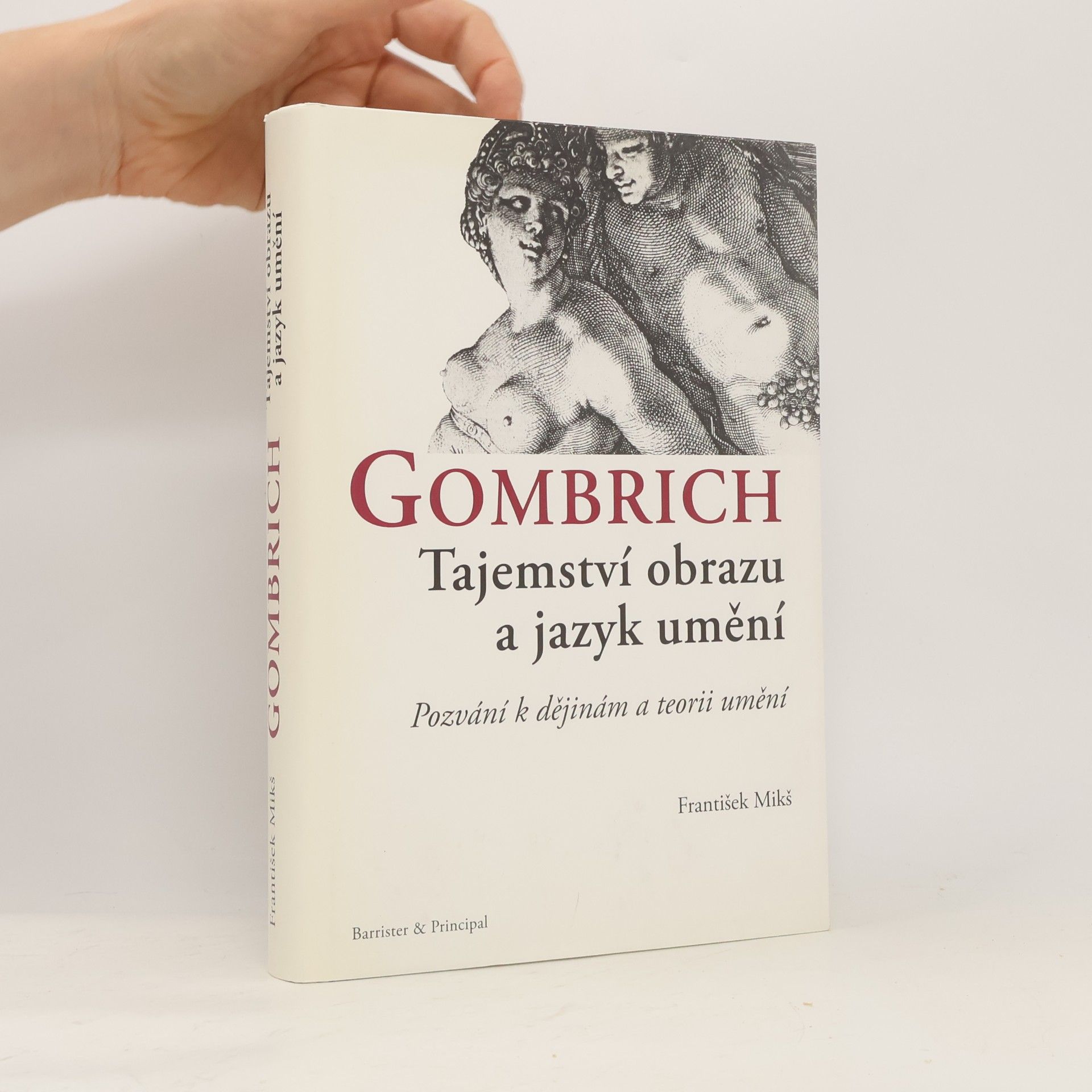 Gombrich : tajemství obrazu a jazyk umění : pozvání k dějinám a teorii umění