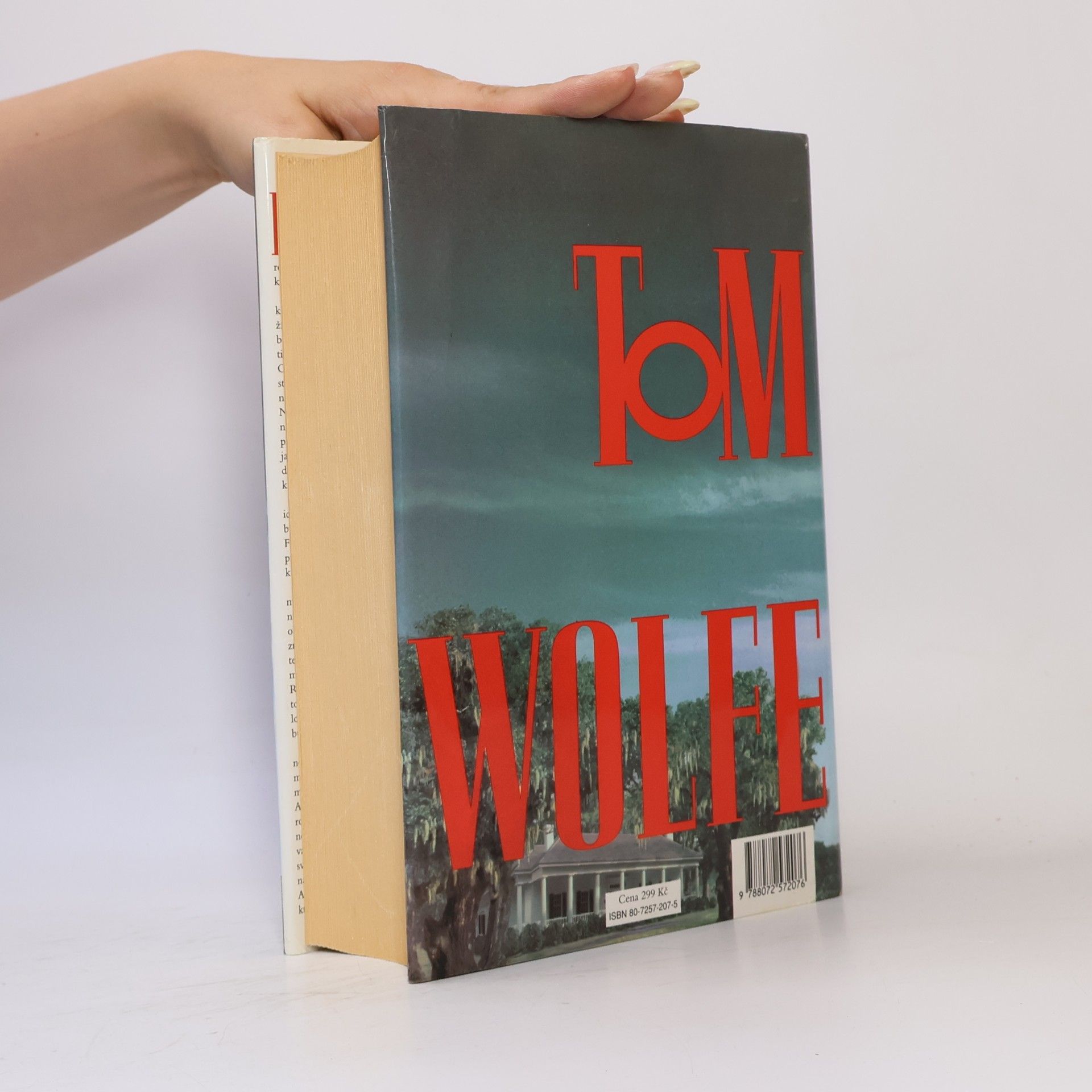 Tom Wolfe Muž na vrcholu