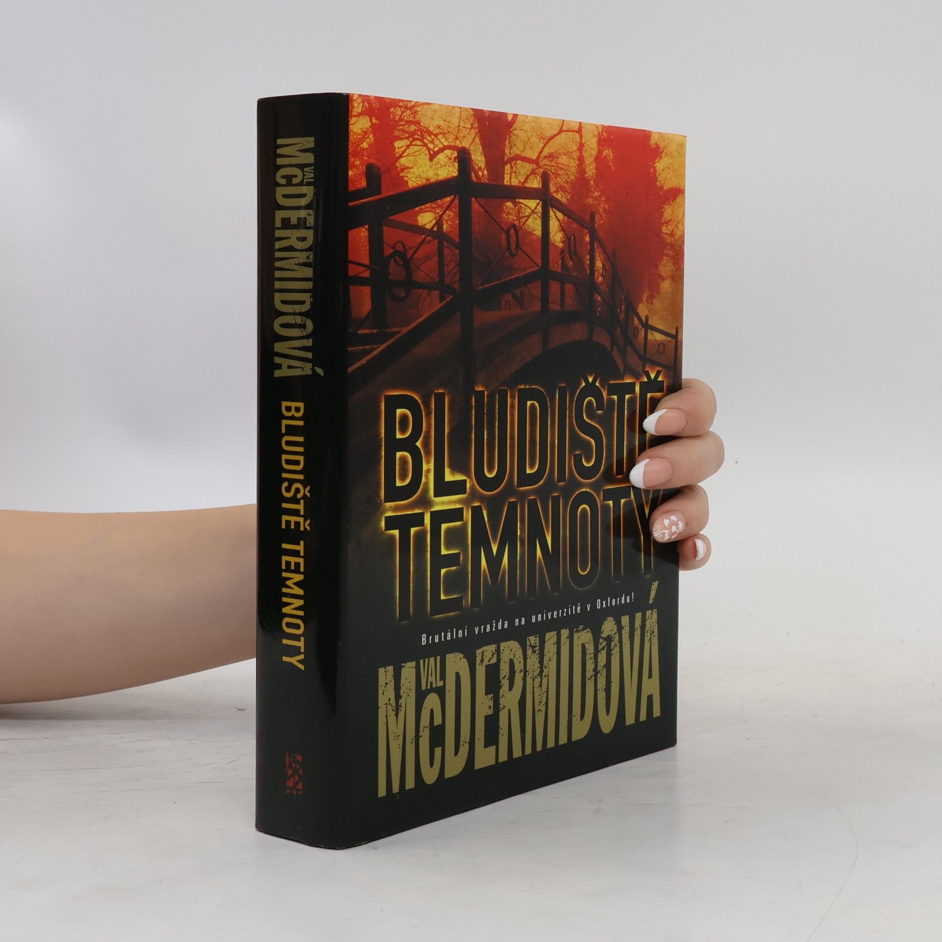 Val McDermid Bludiště temnoty