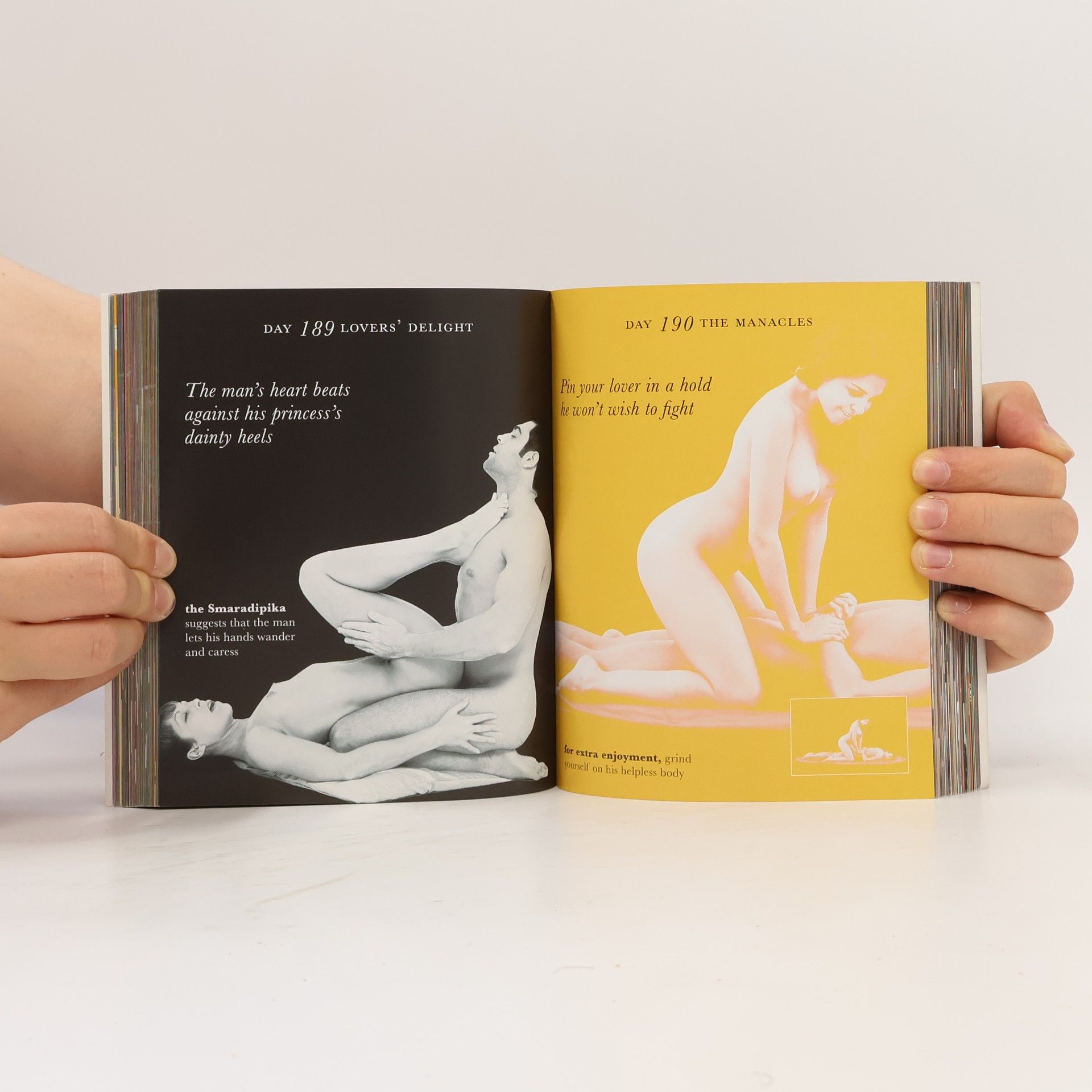 Claudia Blake Kama Sutra A Position a Day
