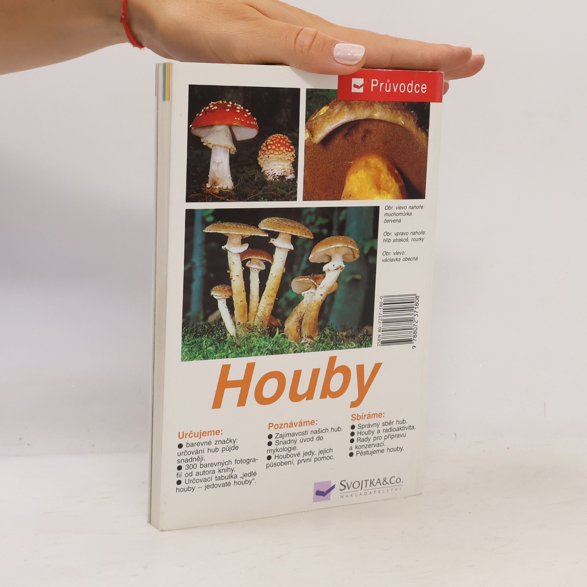 Edmund Garnweidner Houby: Jedlé houby, jejich jedovatí dvojníci a nejedlé houby ve střední Evropě : určování, poznávání, sbírání
