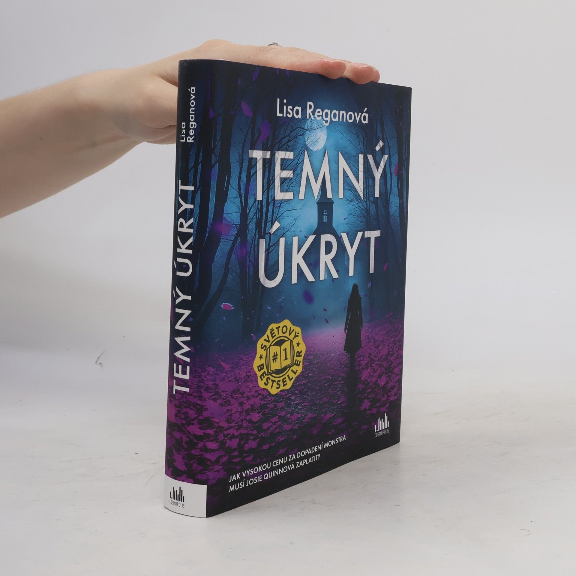 Lisa Regan Temný úkryt