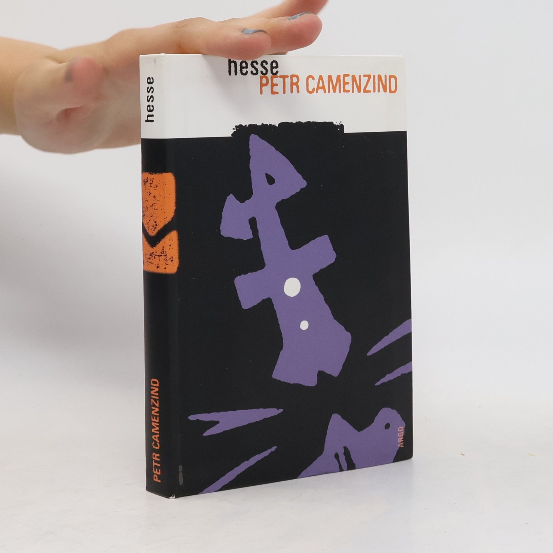 Hermann Hesse Petr Camenzind