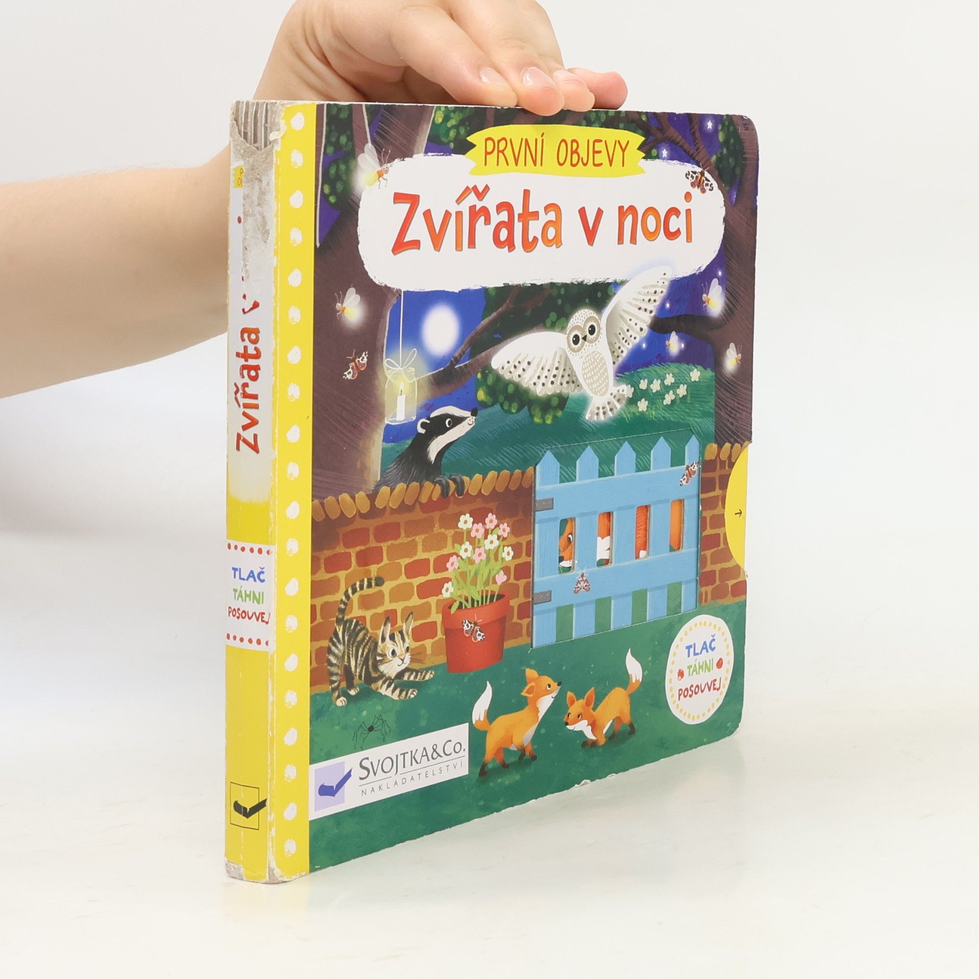 Jenny Wren První objevy: Zvířata v noci