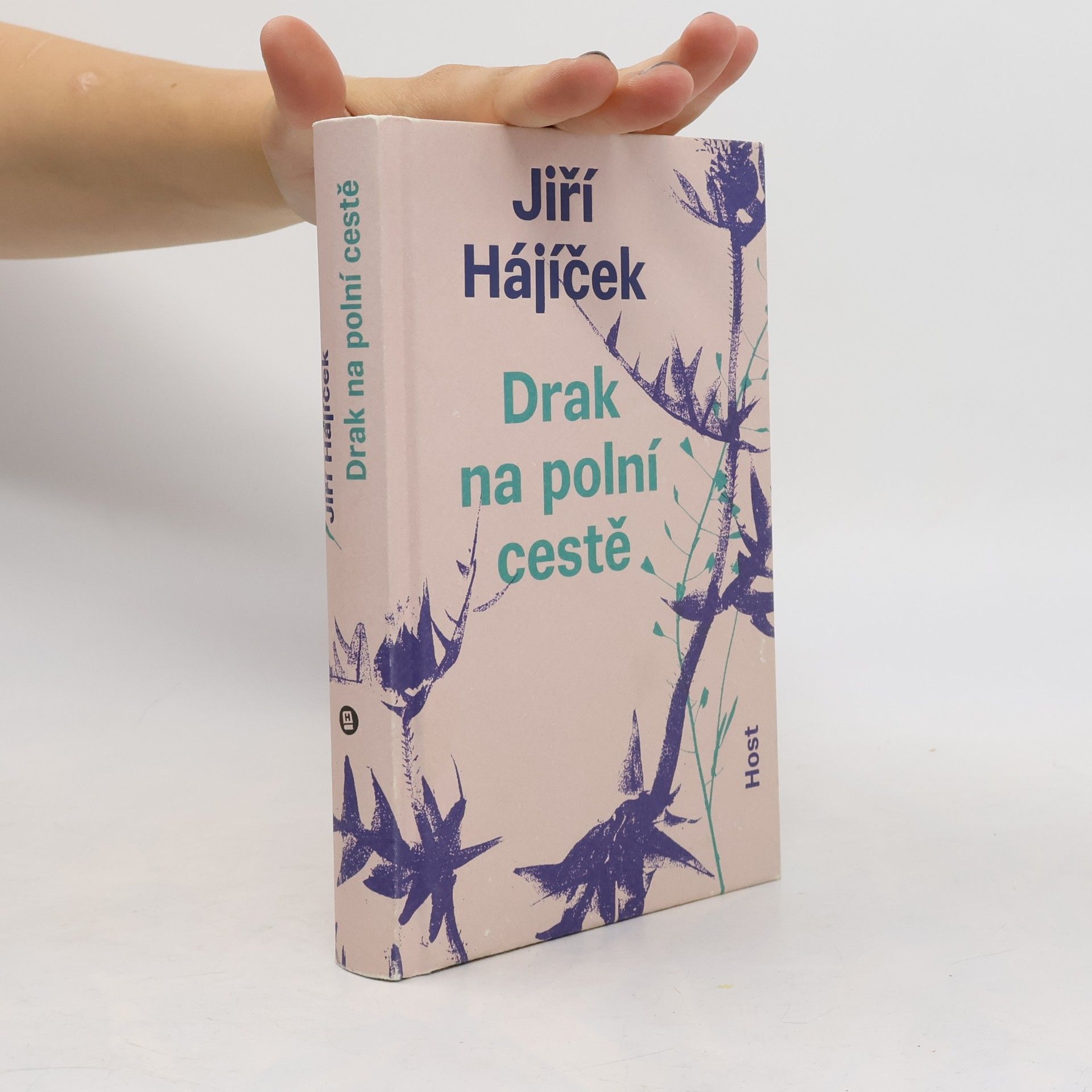 Jiří Hájíček Drak na polní cestě