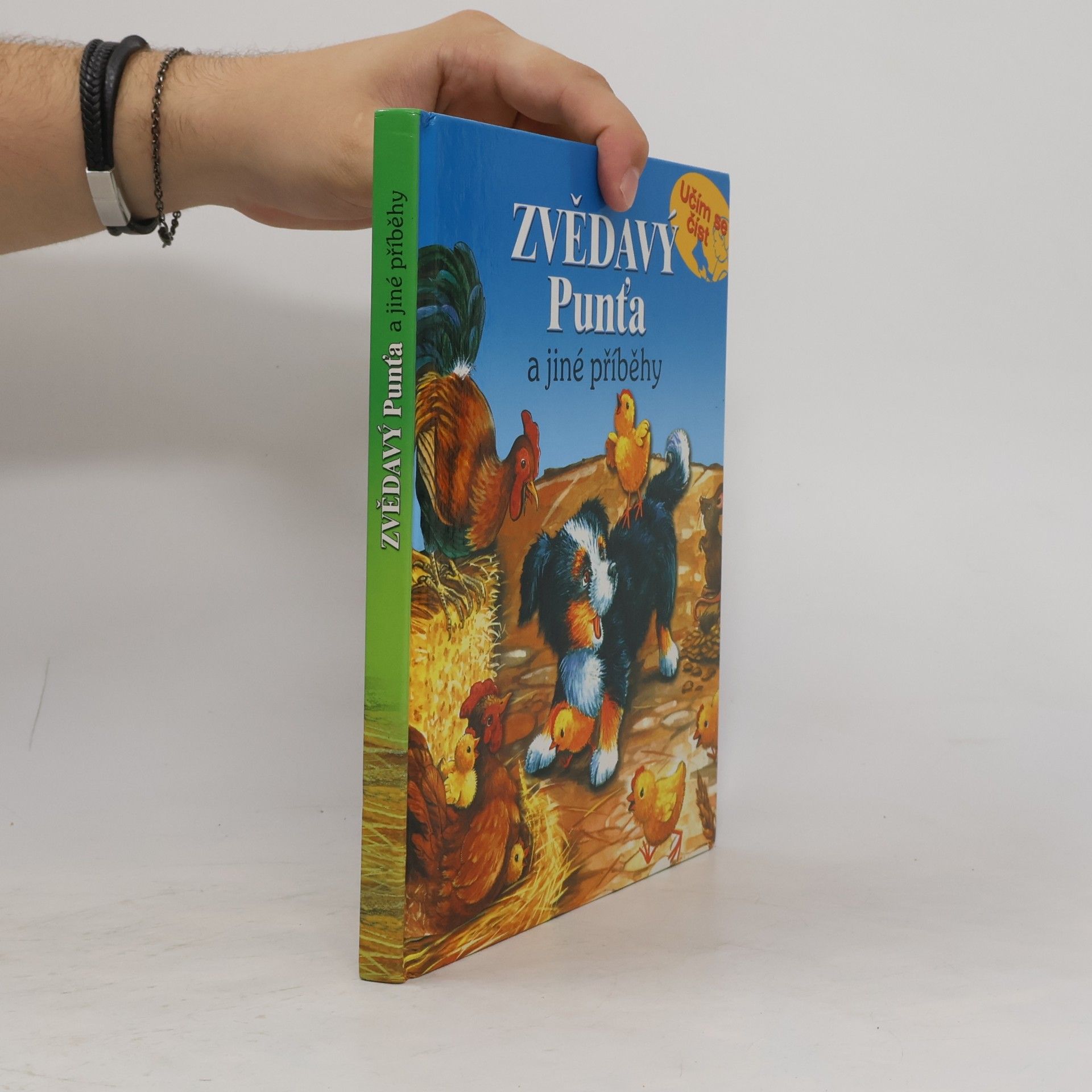 Autorenkollektiv Zvědavý Punťa a jiné příběhy