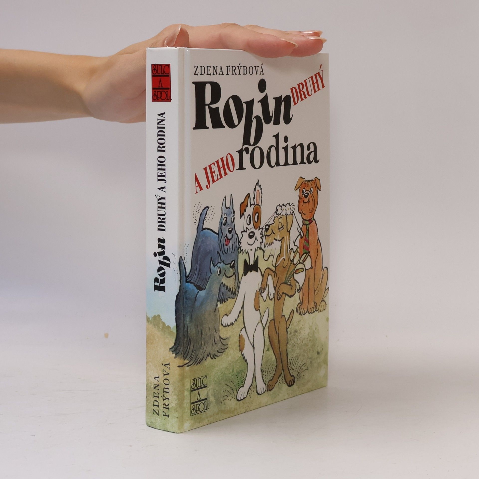 Zdena Frýbová Robin Druhý a jeho rodina