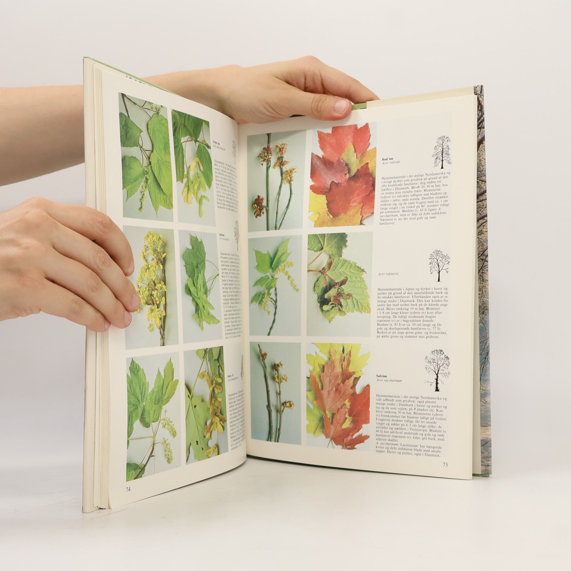 Various authors Lademanns Have- og Planteleksikon