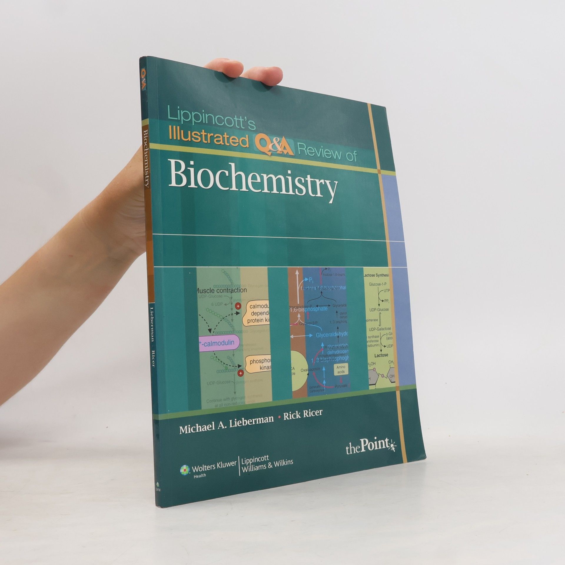 Lippincott's Illustrated Q&A Review of Biochemistry